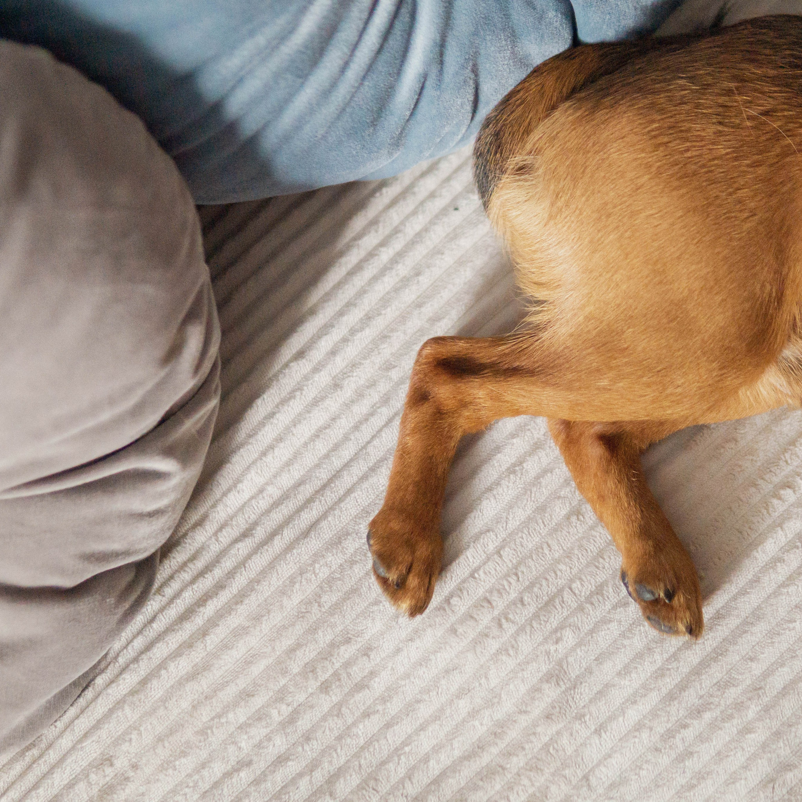 Надя и Ефим