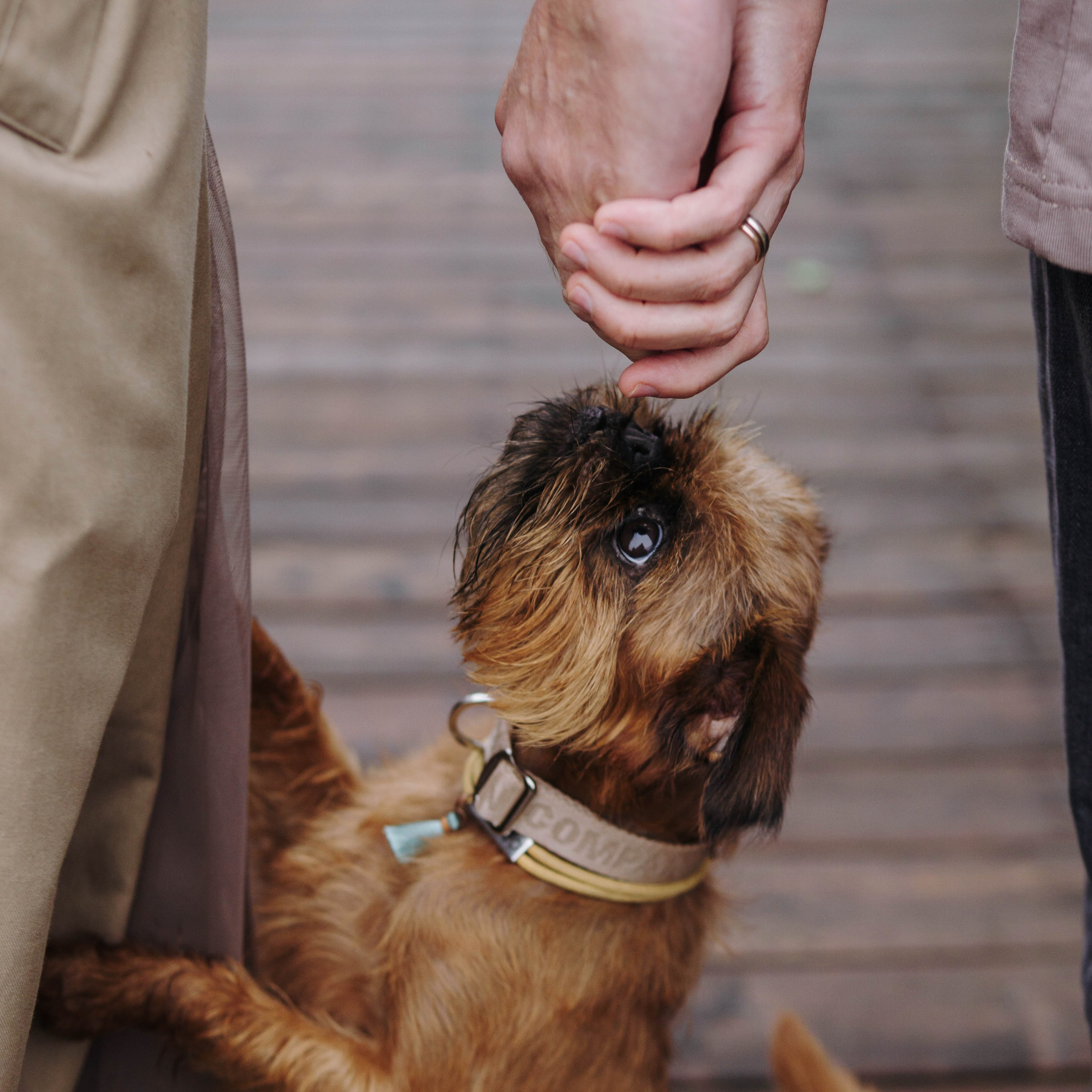 Наташа, Сережа и Хавьер