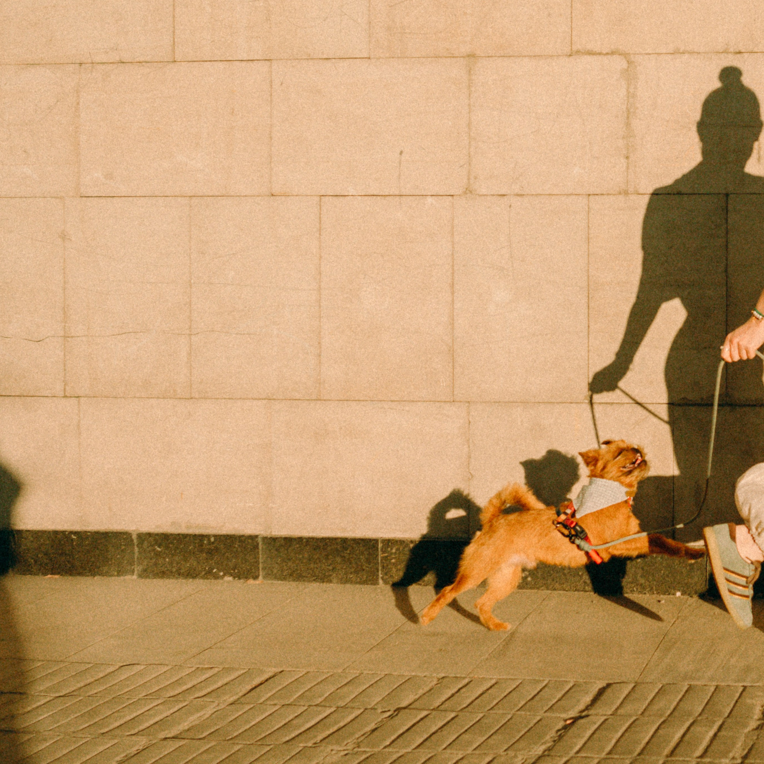 Лена и Альфи