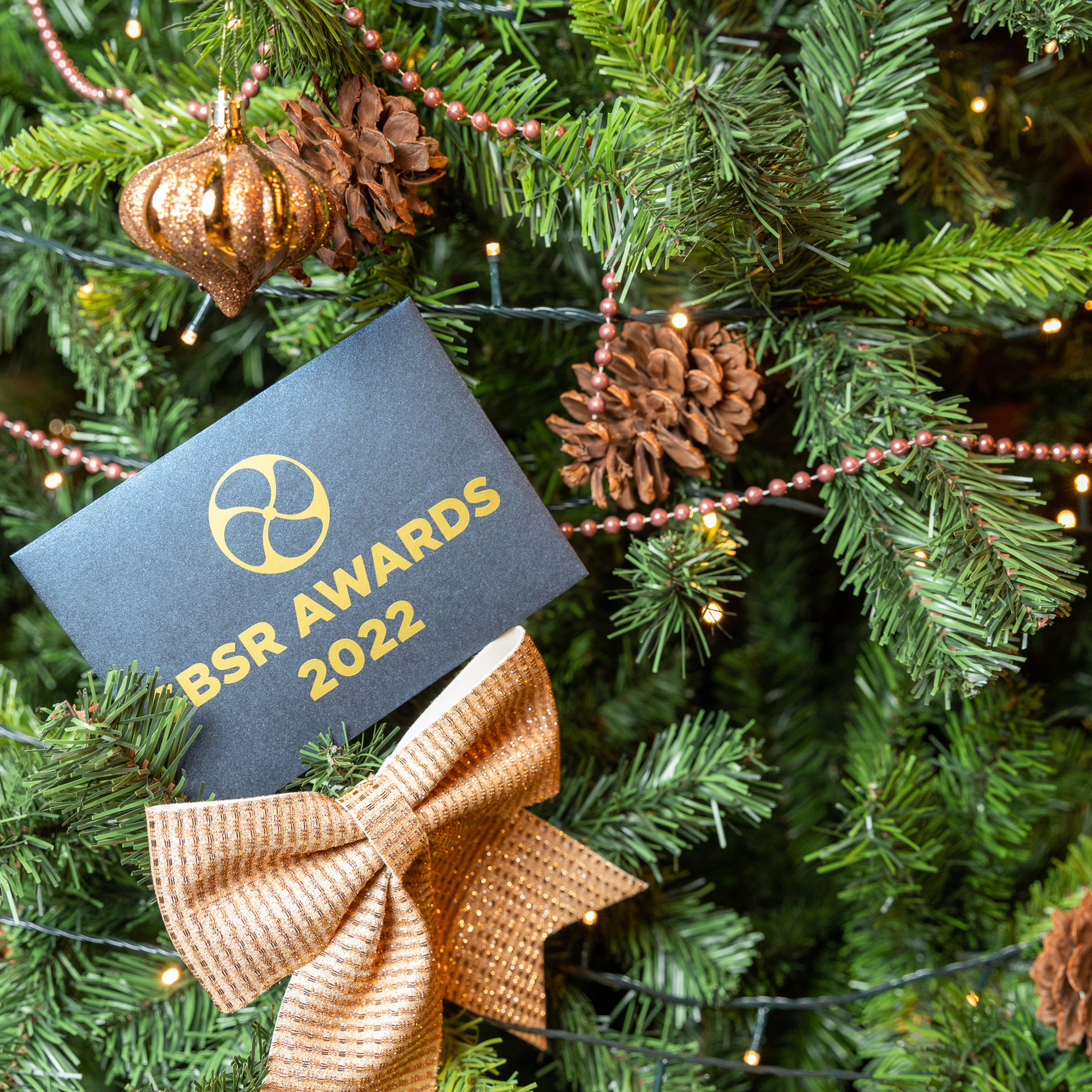 Отзывы. Anton.Molev