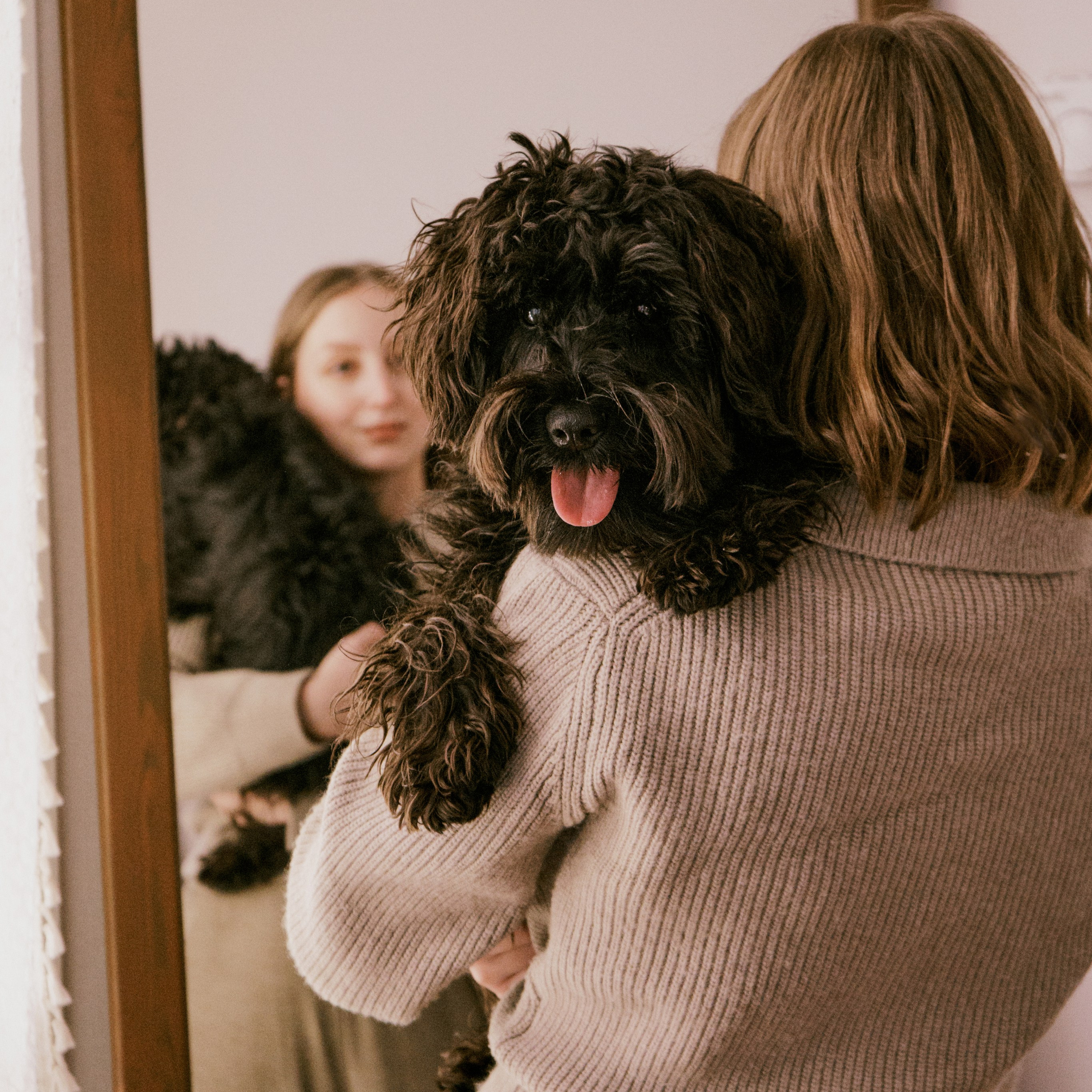 Хвостатый фотодень