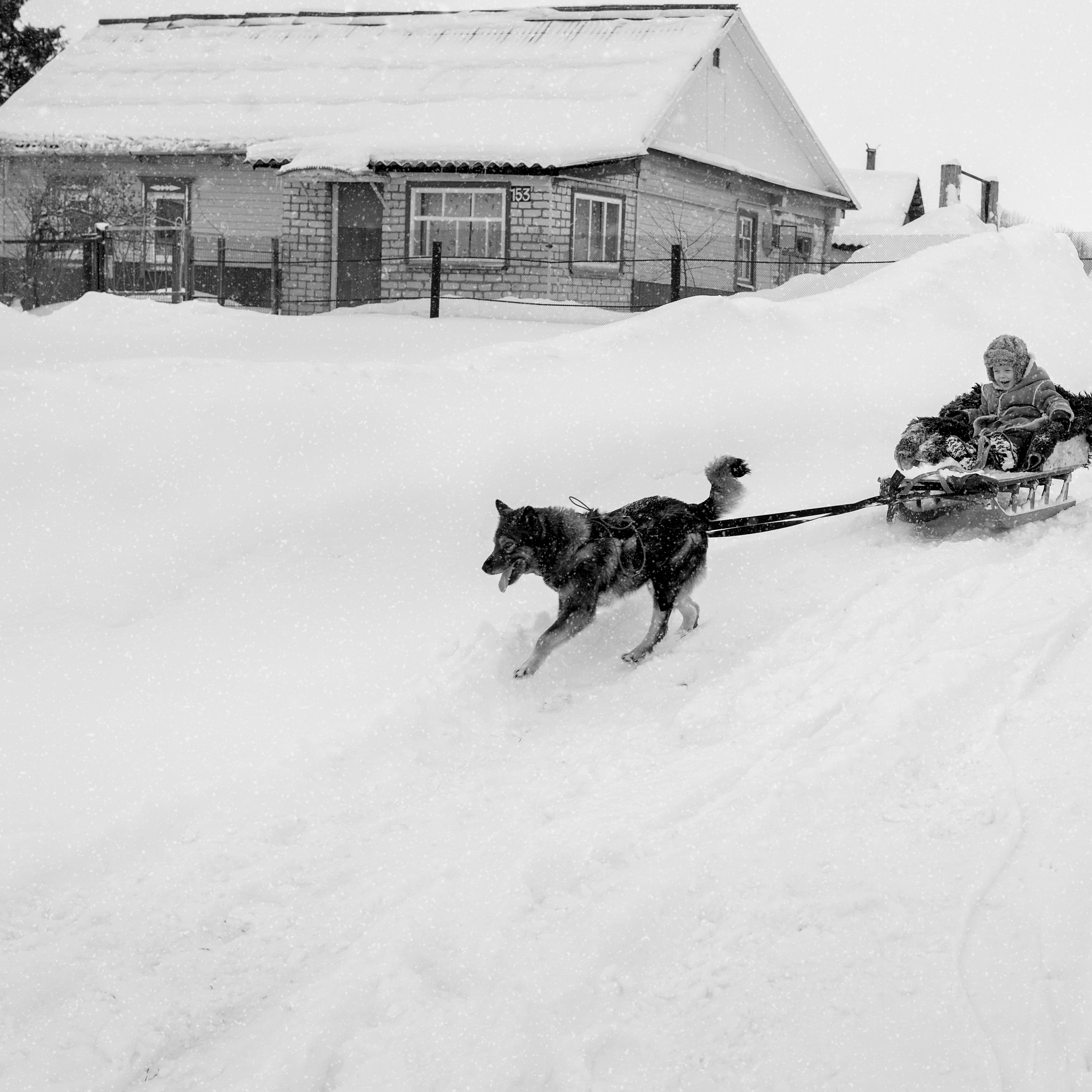 Деревня / Village. Профессиональный портретный фотограф в Орле Шестопалова Юлия