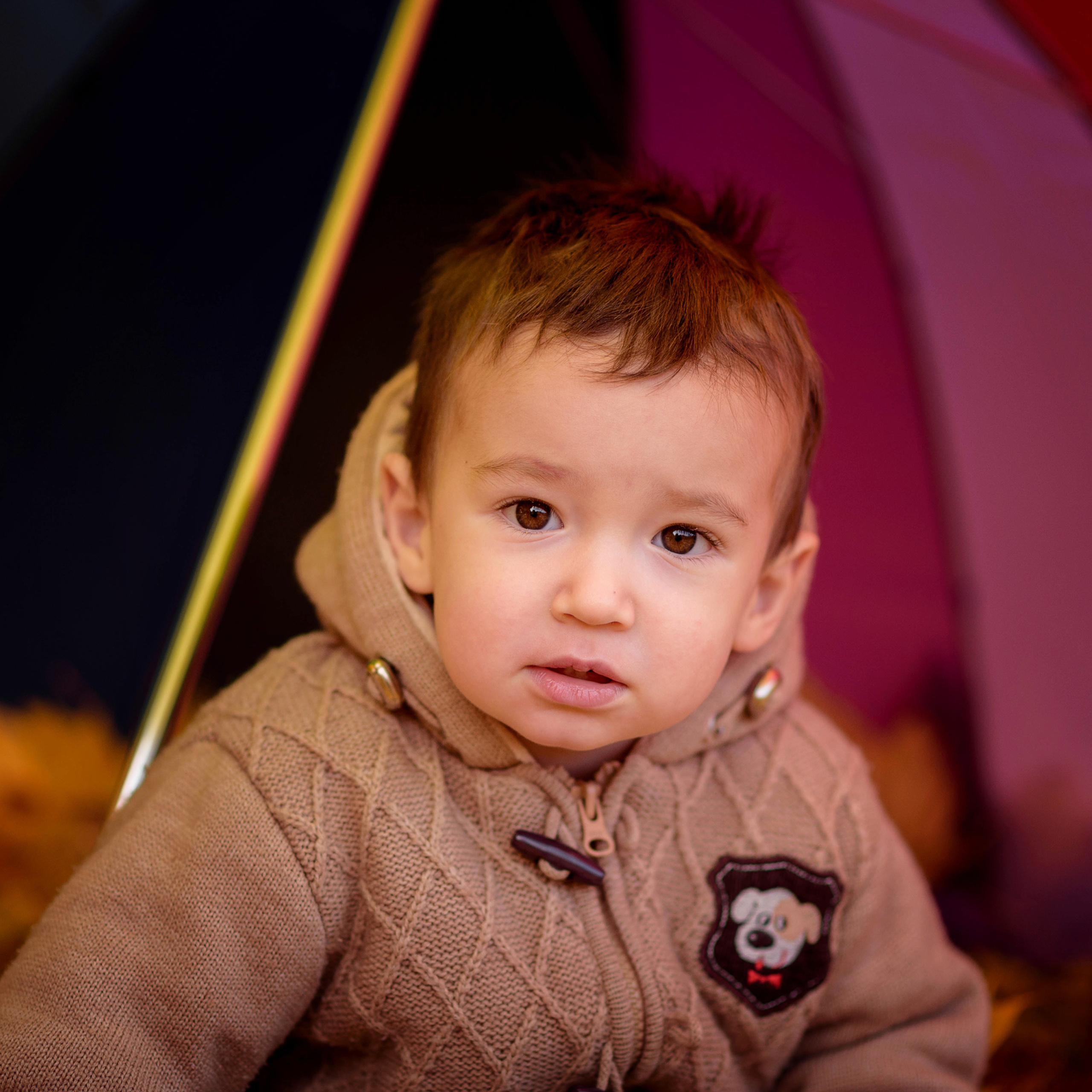 Катя -осенняя фотосессия. Фотографы в Орле Шестопаловы Юлия и Юрий