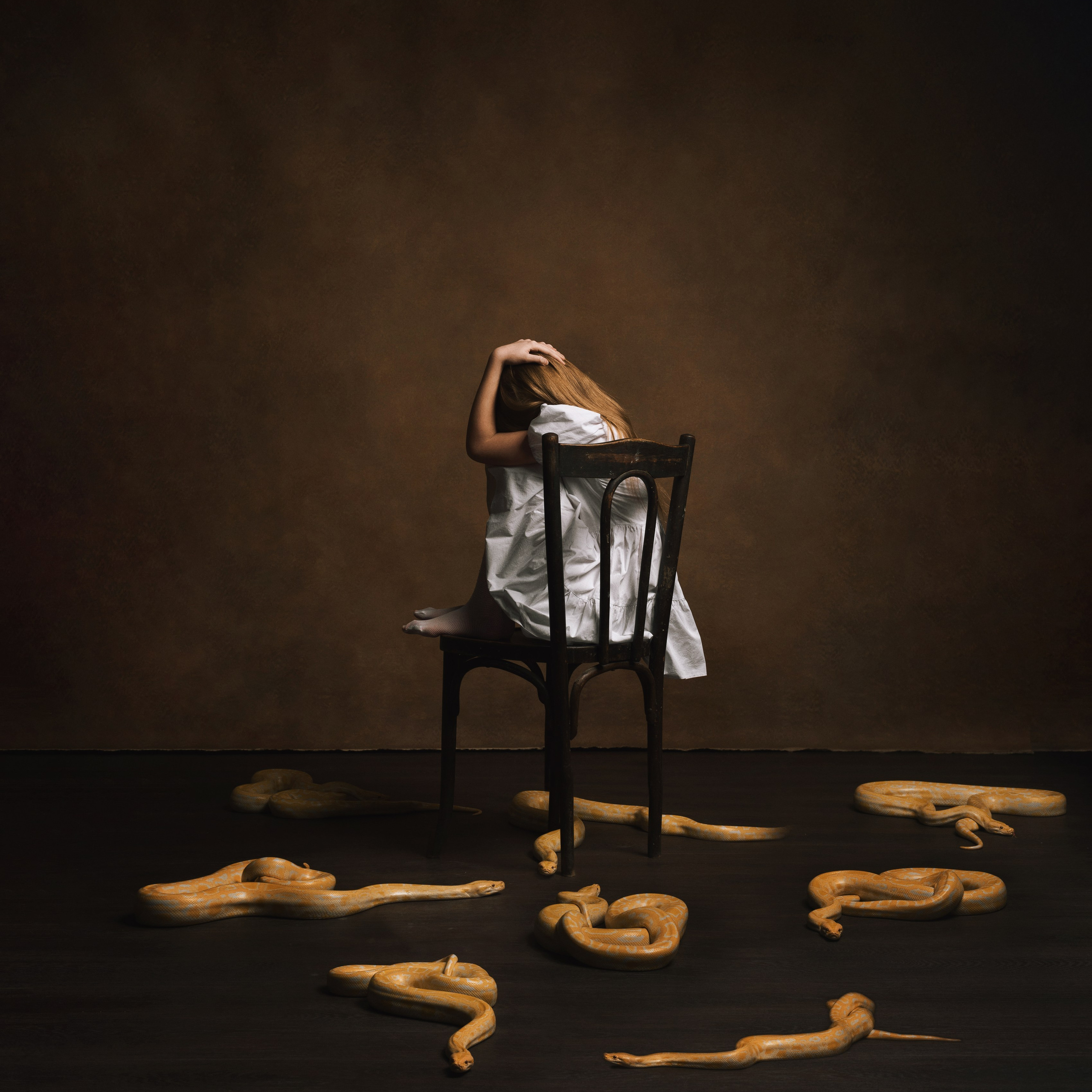 Змеи/питон/удав