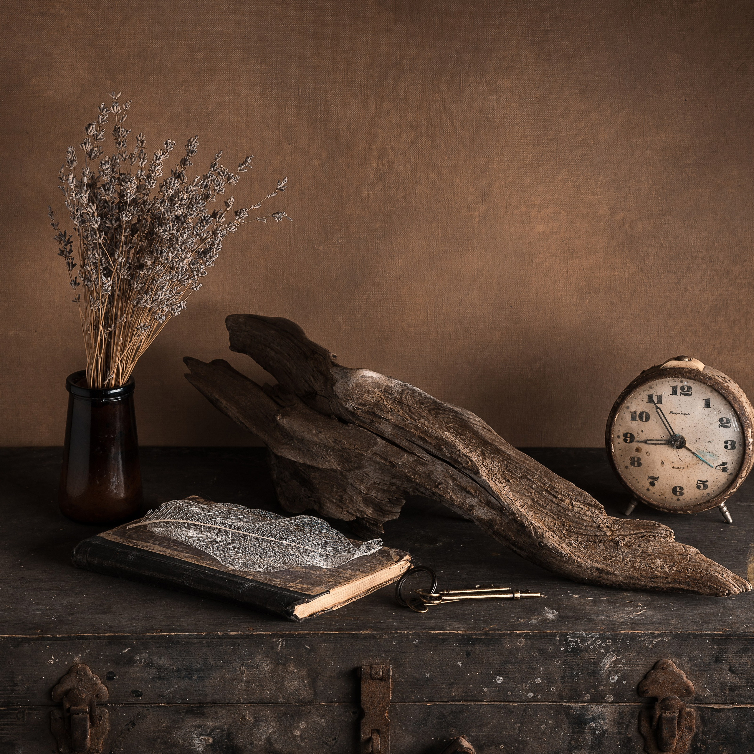 Натюрморт / Still Life. Профессиональный портретный фотограф в Орле Шестопалова Юлия