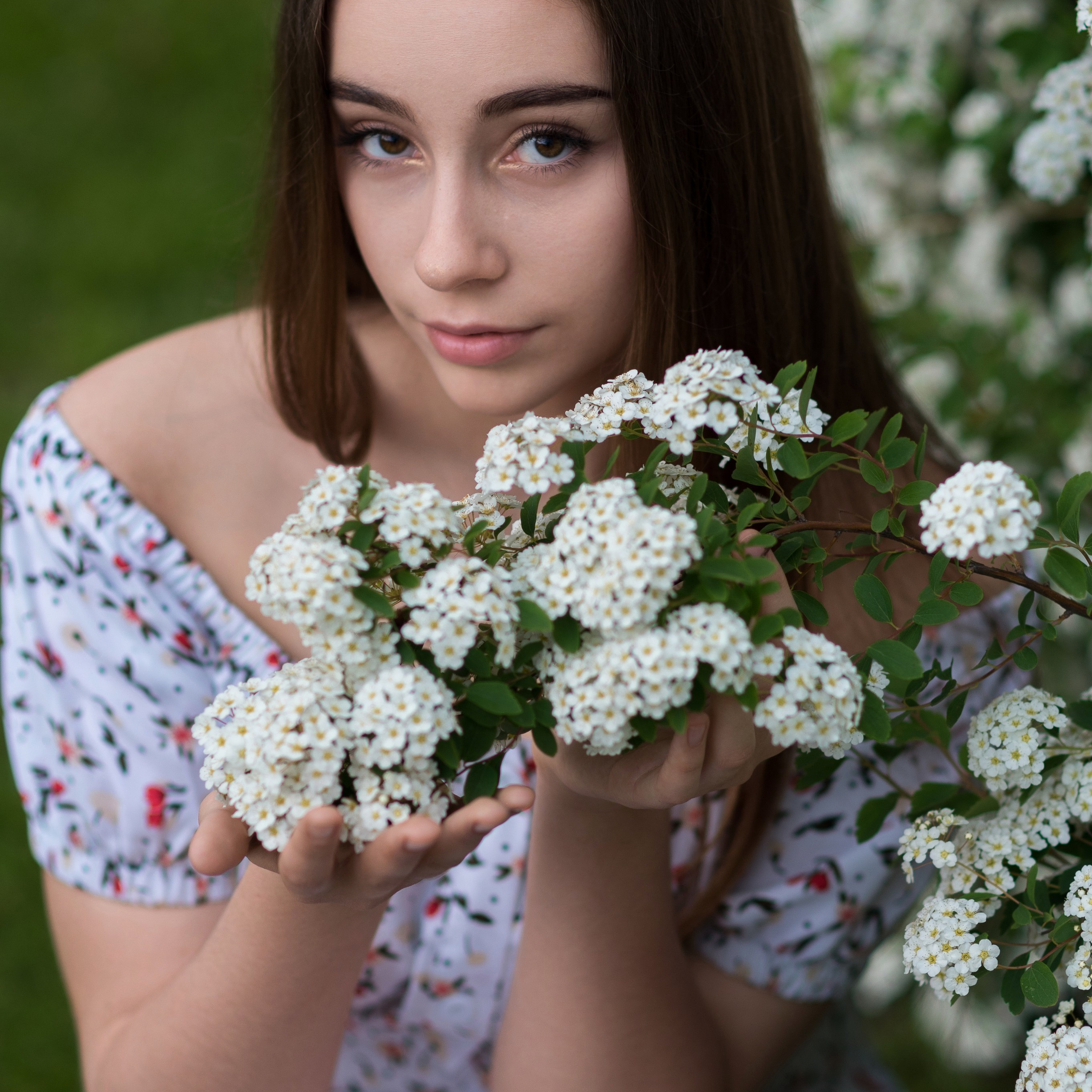 София, сирень. Фотографы в Орле Шестопаловы Юлия и Юрий