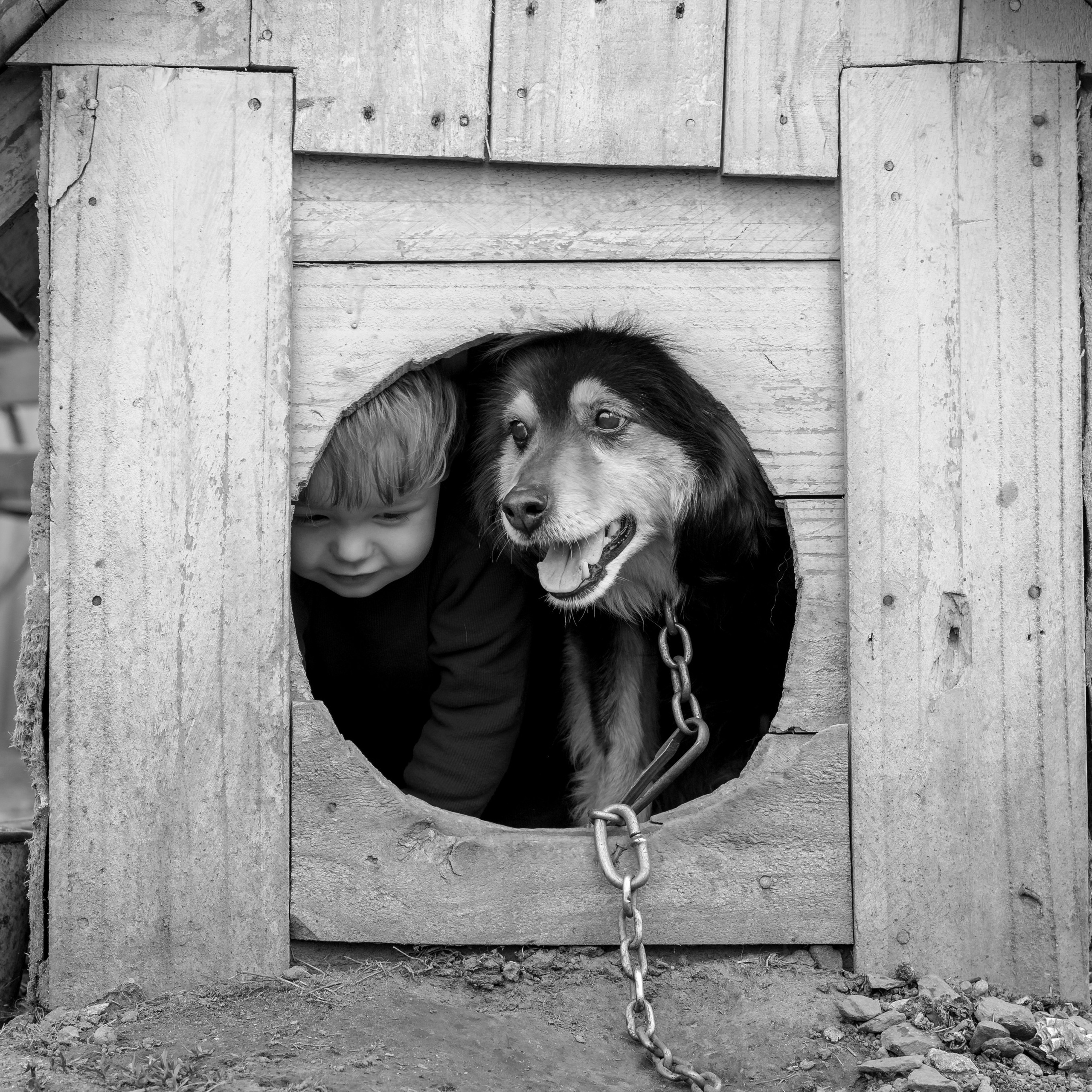 Деревня / Village. Профессиональный портретный фотограф в Орле Шестопалова Юлия