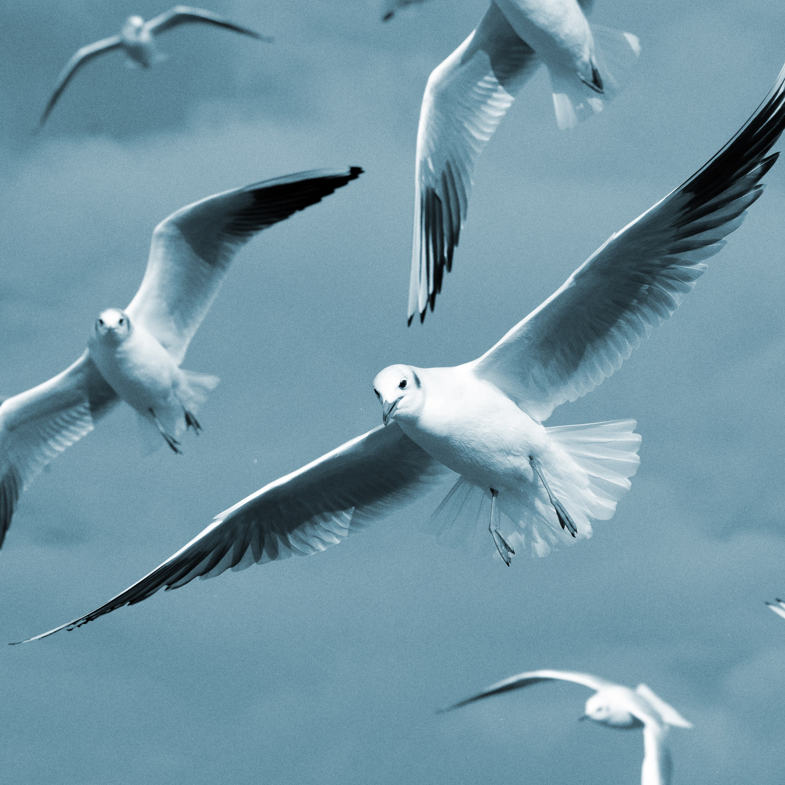 Путешествия. Фотографы в Орле Шестопаловы Юлия и Юрий