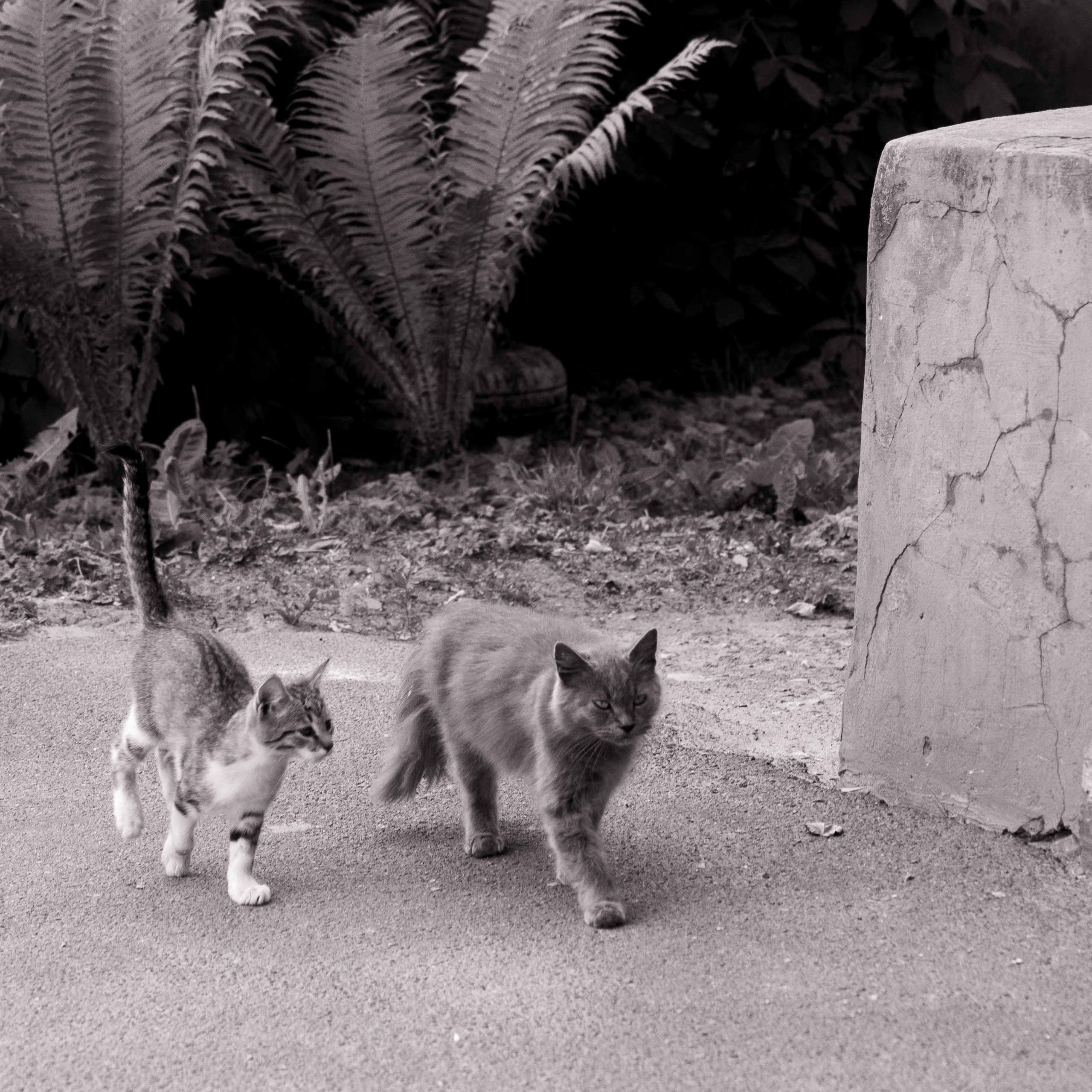 Путешествия. Фотографы в Орле Шестопаловы Юлия и Юрий