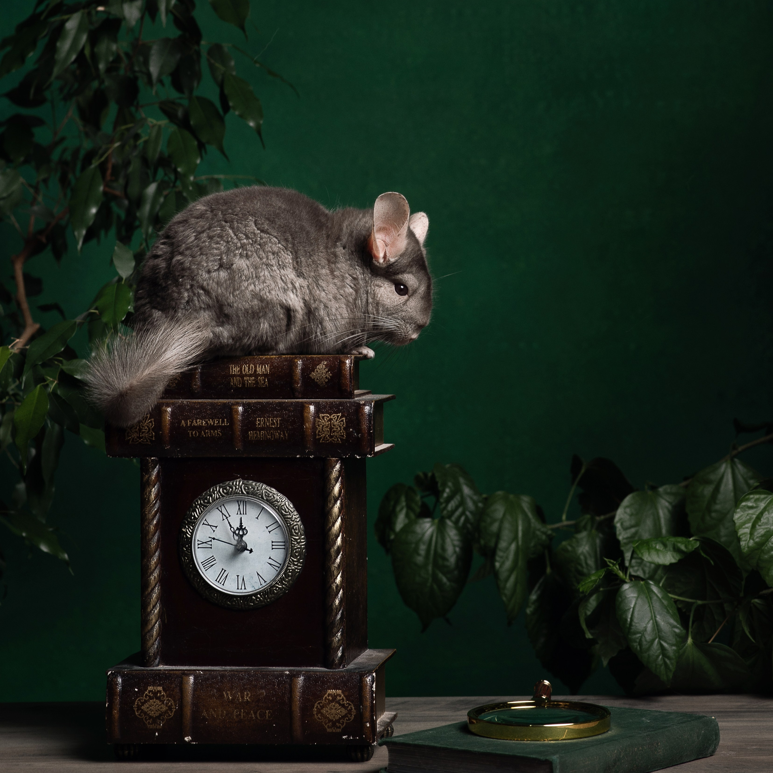 Время/ Time. Профессиональный портретный фотограф в Орле Шестопалова Юлия