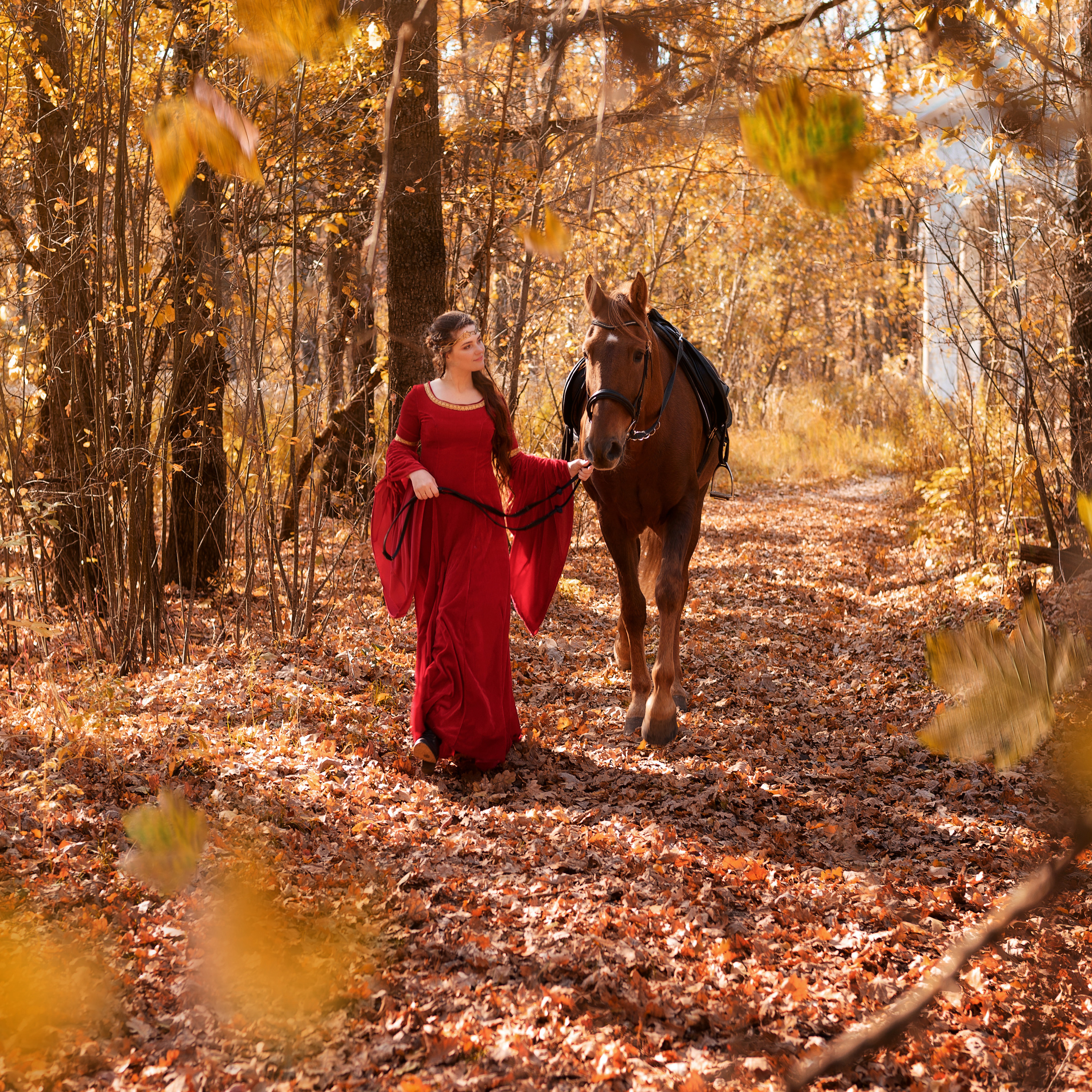 Алена и конь Лотос. Фотографы в Орле Шестопаловы Юлия и Юрий