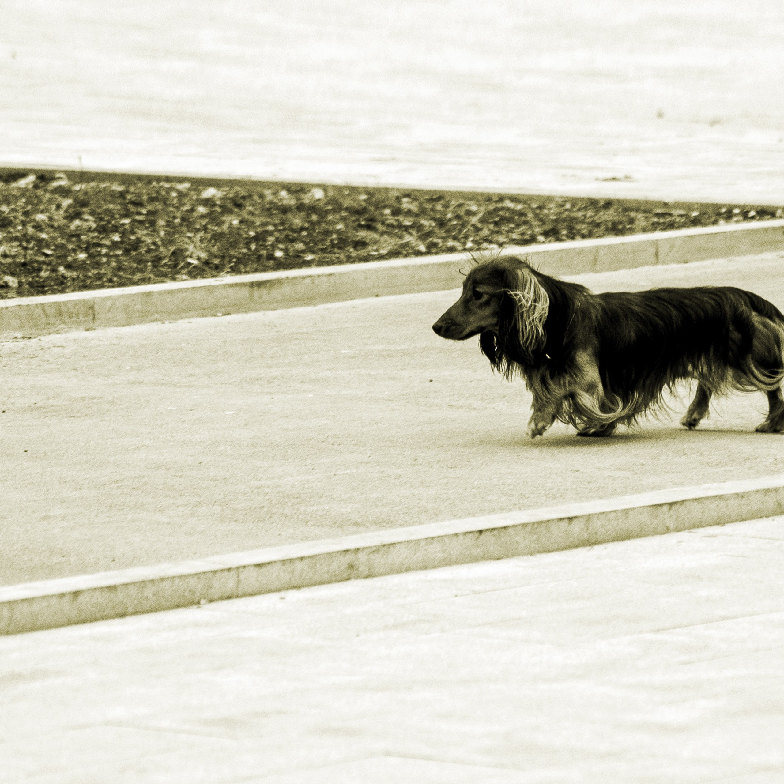 Путешествия. Фотографы в Орле Шестопаловы Юлия и Юрий