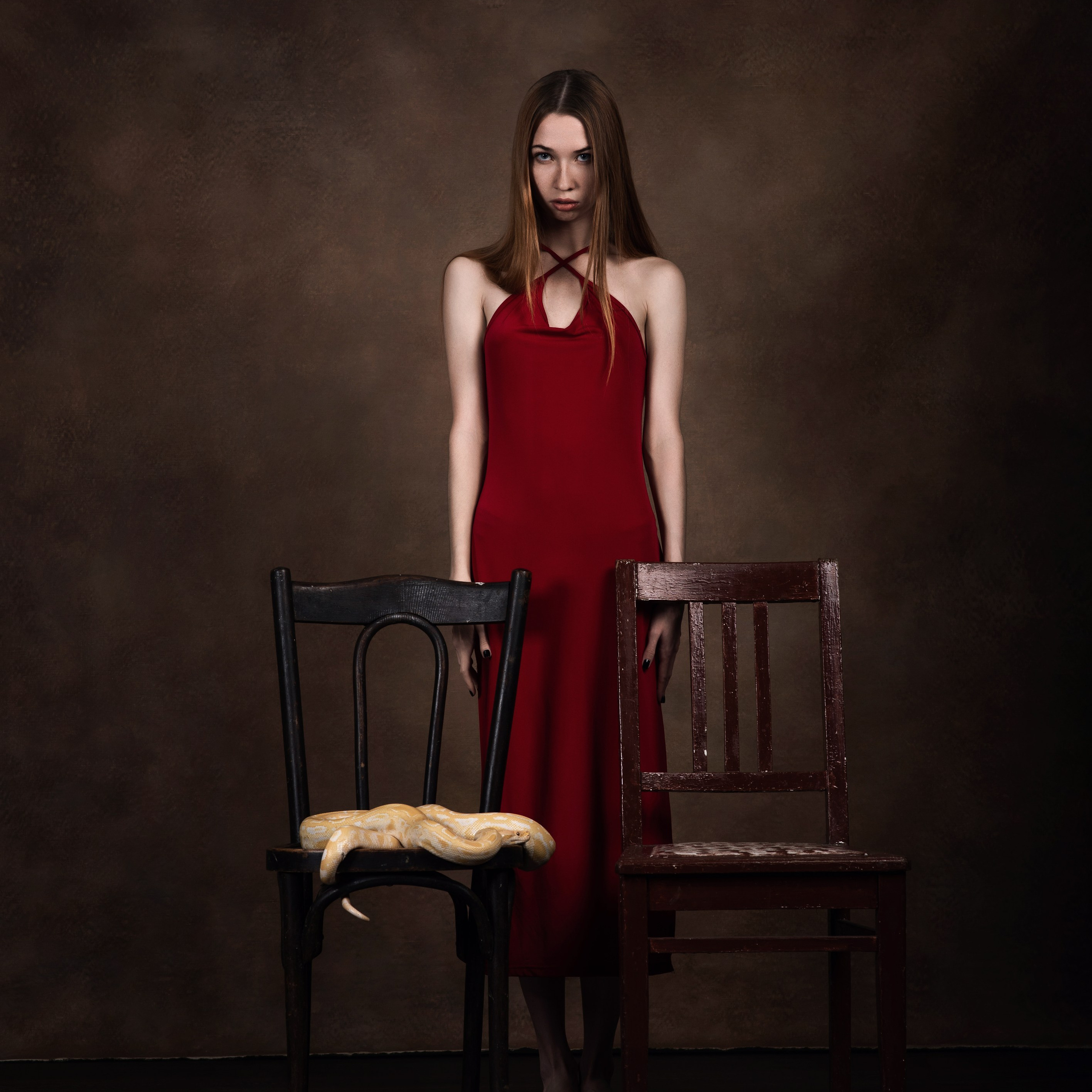 Змеи/питон/удав