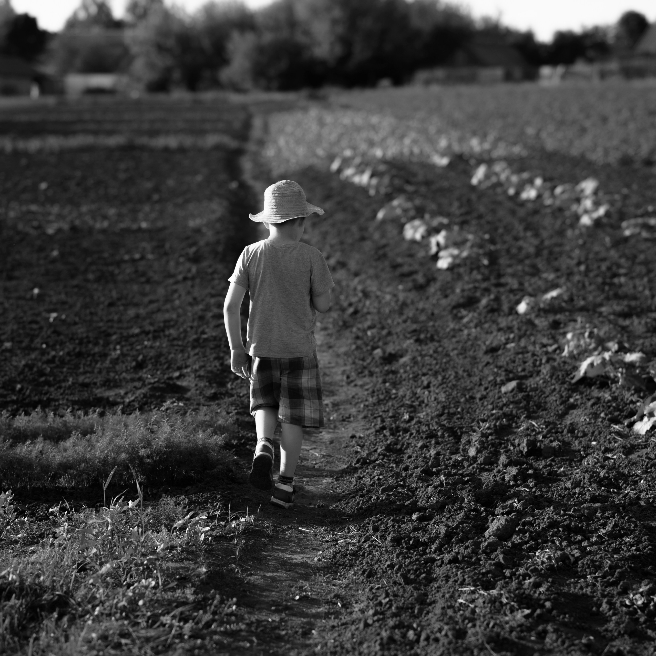 Деревня / Village. Профессиональный портретный фотограф в Орле Шестопалова Юлия