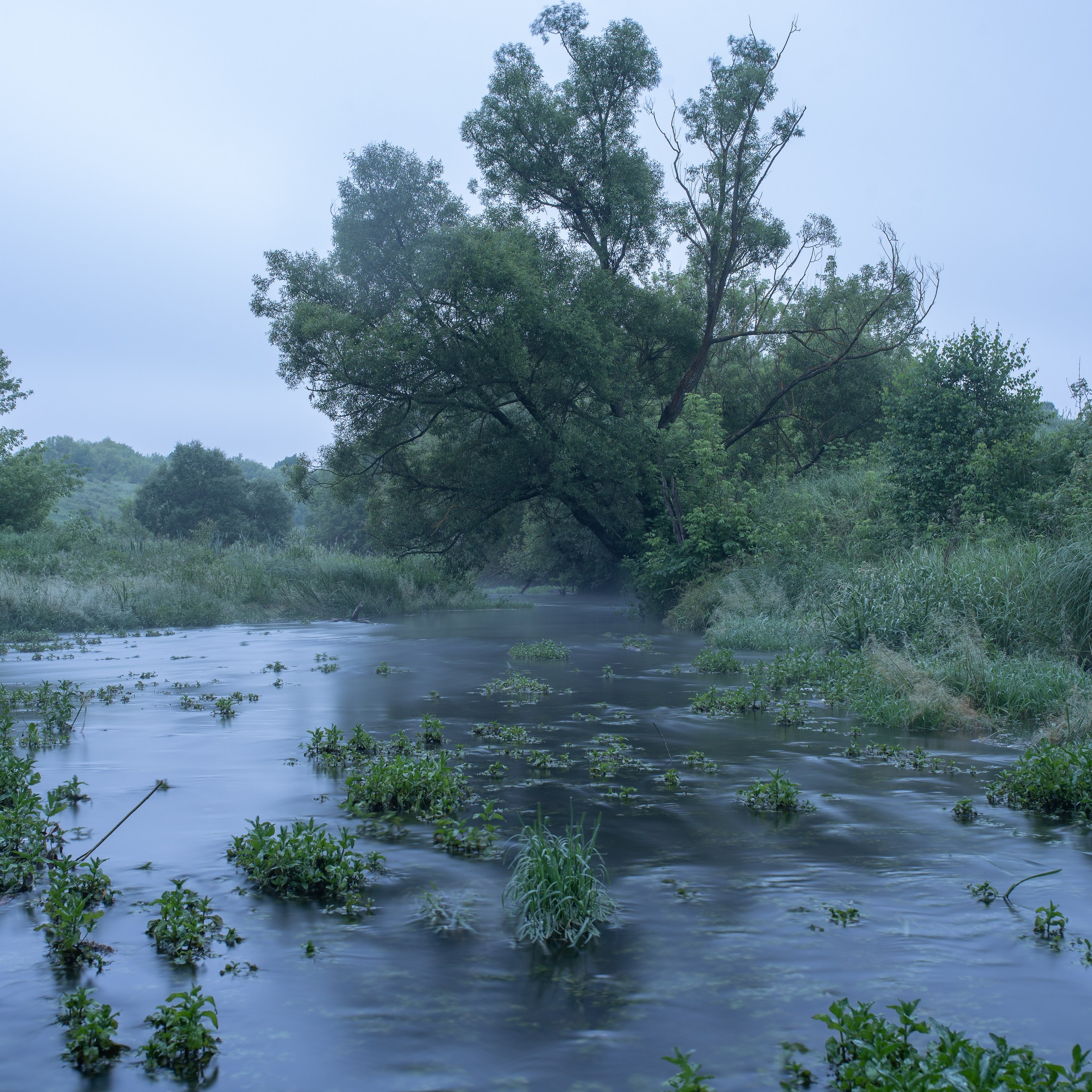 Путешествия. Фотографы в Орле Шестопаловы Юлия и Юрий