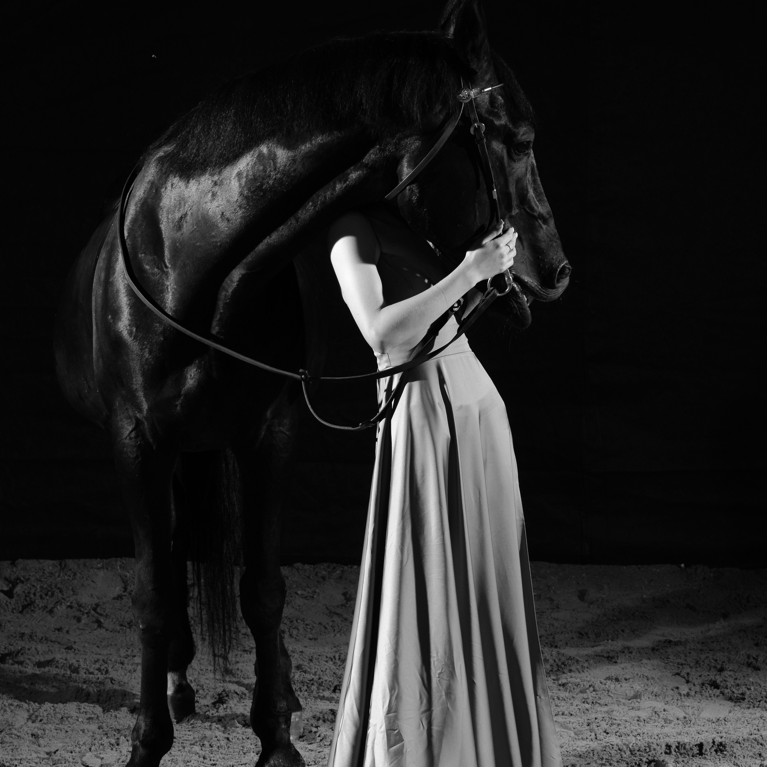 Фотосессия с конем. Фотографы в Орле Шестопаловы Юлия и Юрий