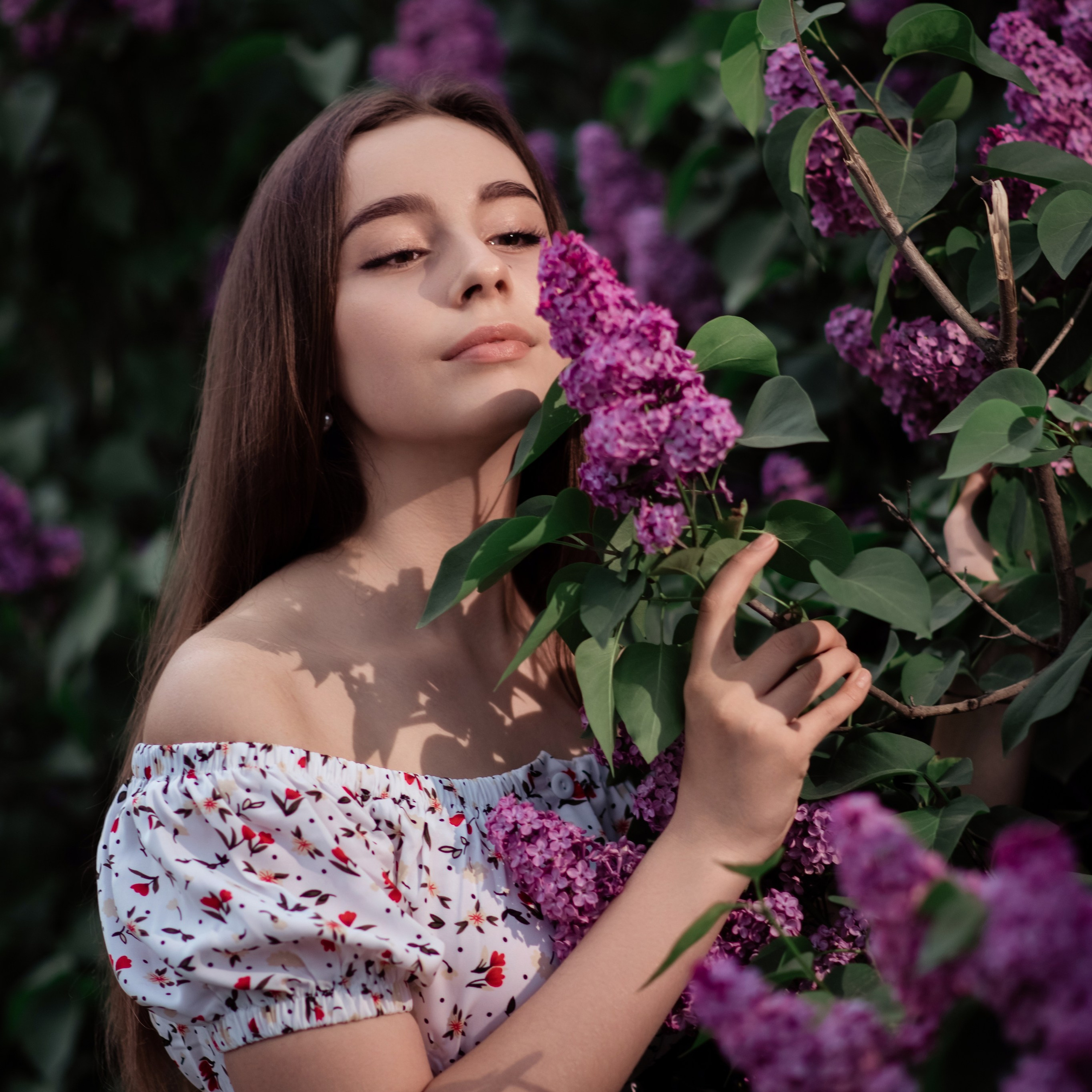 София, сирень. Фотографы в Орле Шестопаловы Юлия и Юрий