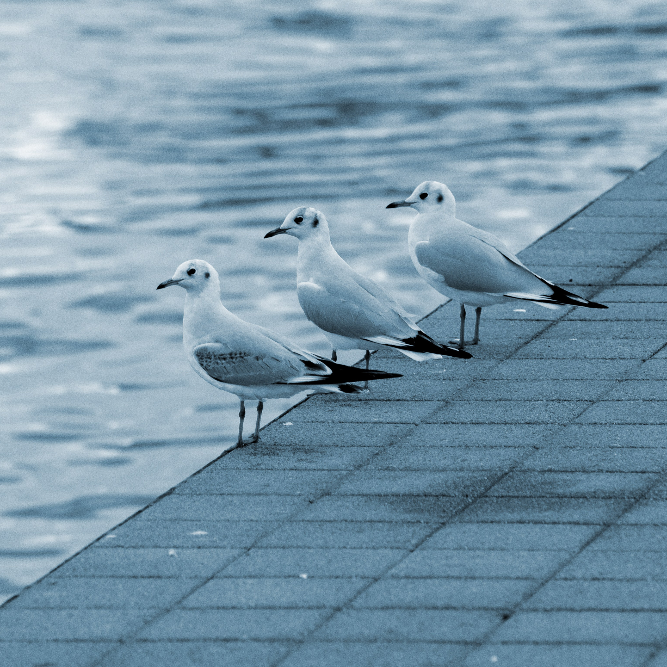 Путешествия. Фотографы в Орле Шестопаловы Юлия и Юрий