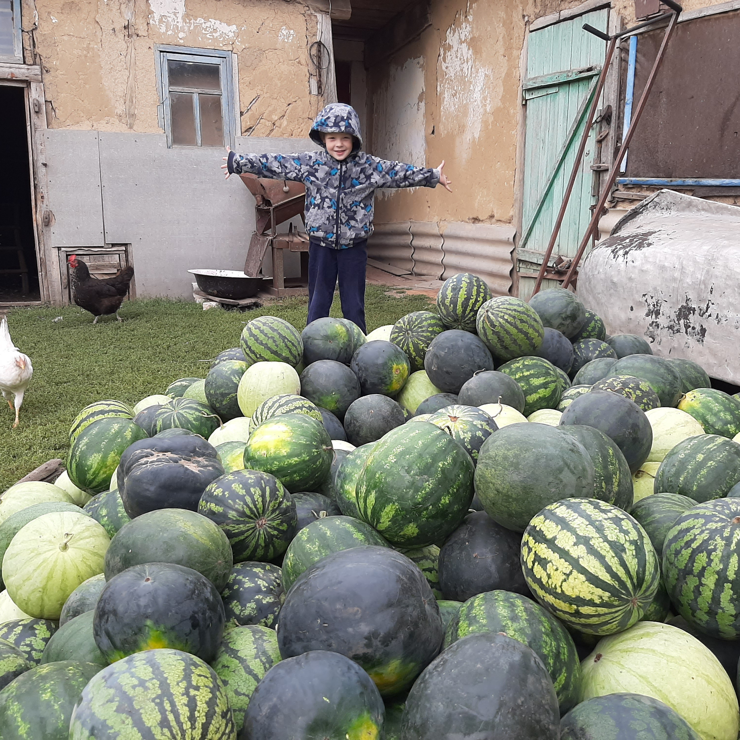 Деревня / Village. Профессиональный портретный фотограф в Орле Шестопалова Юлия