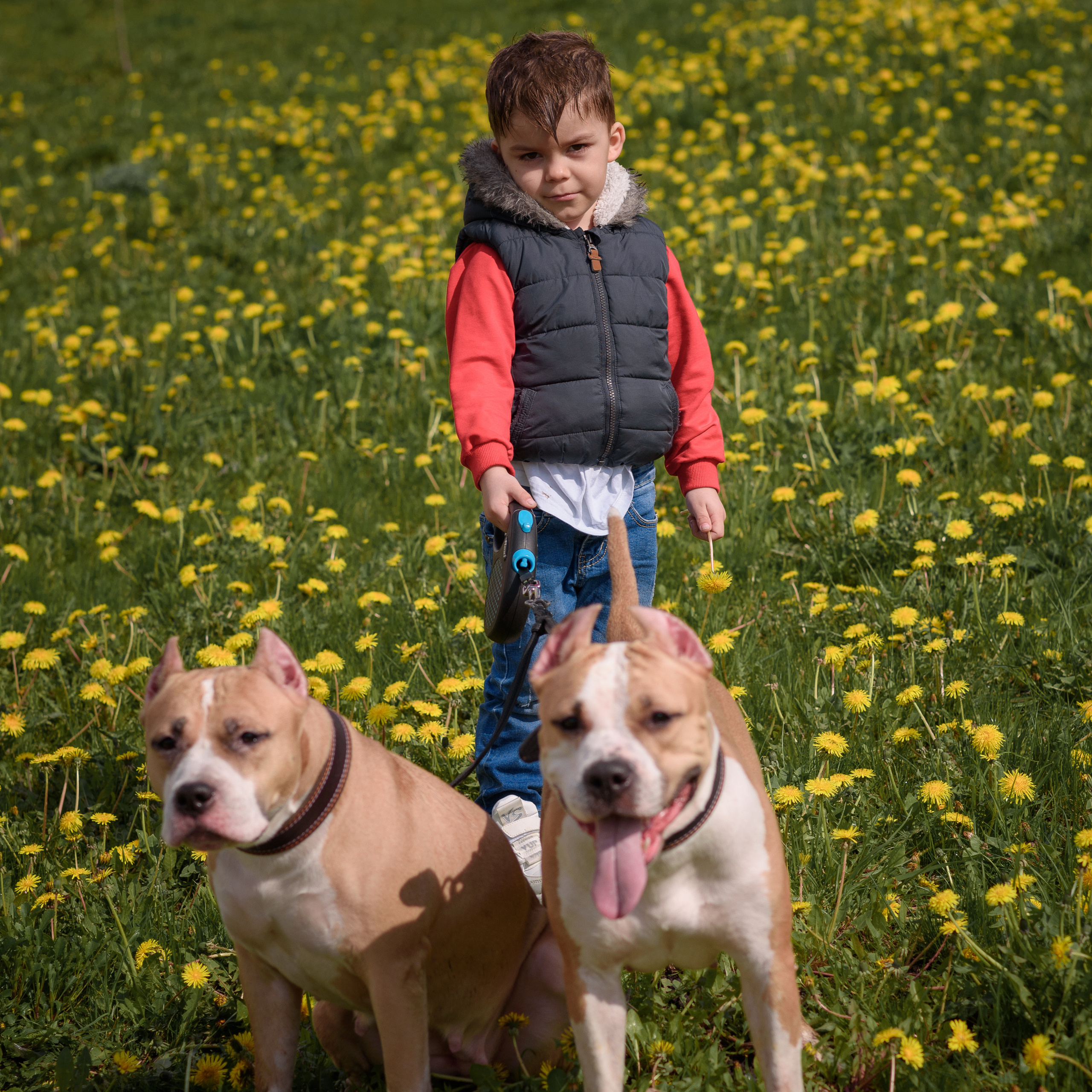 Елена, дети и собаки))). Фотографы в Орле Шестопаловы Юлия и Юрий