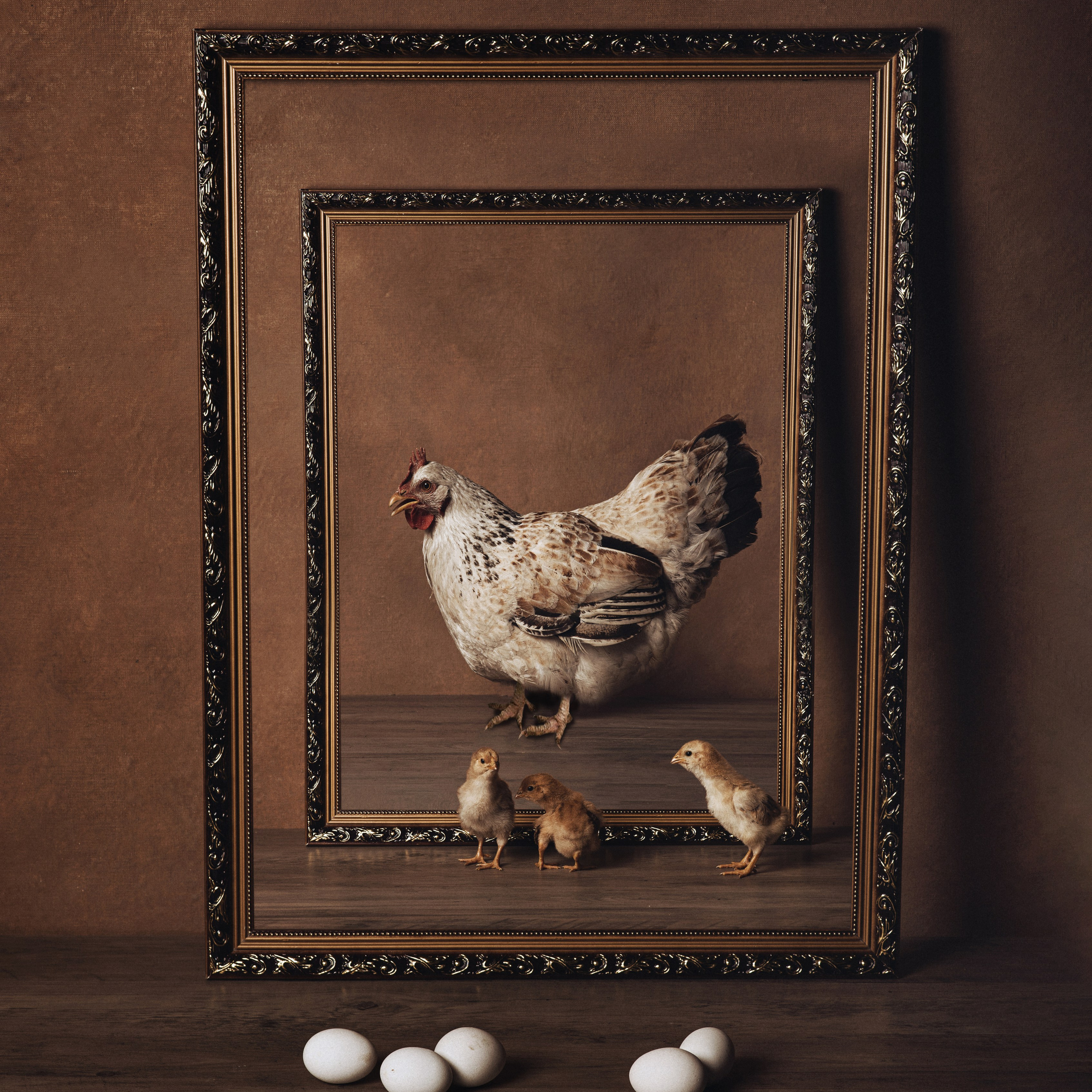 Арт/концепт. Фотографы в Орле Шестопаловы Юлия и Юрий