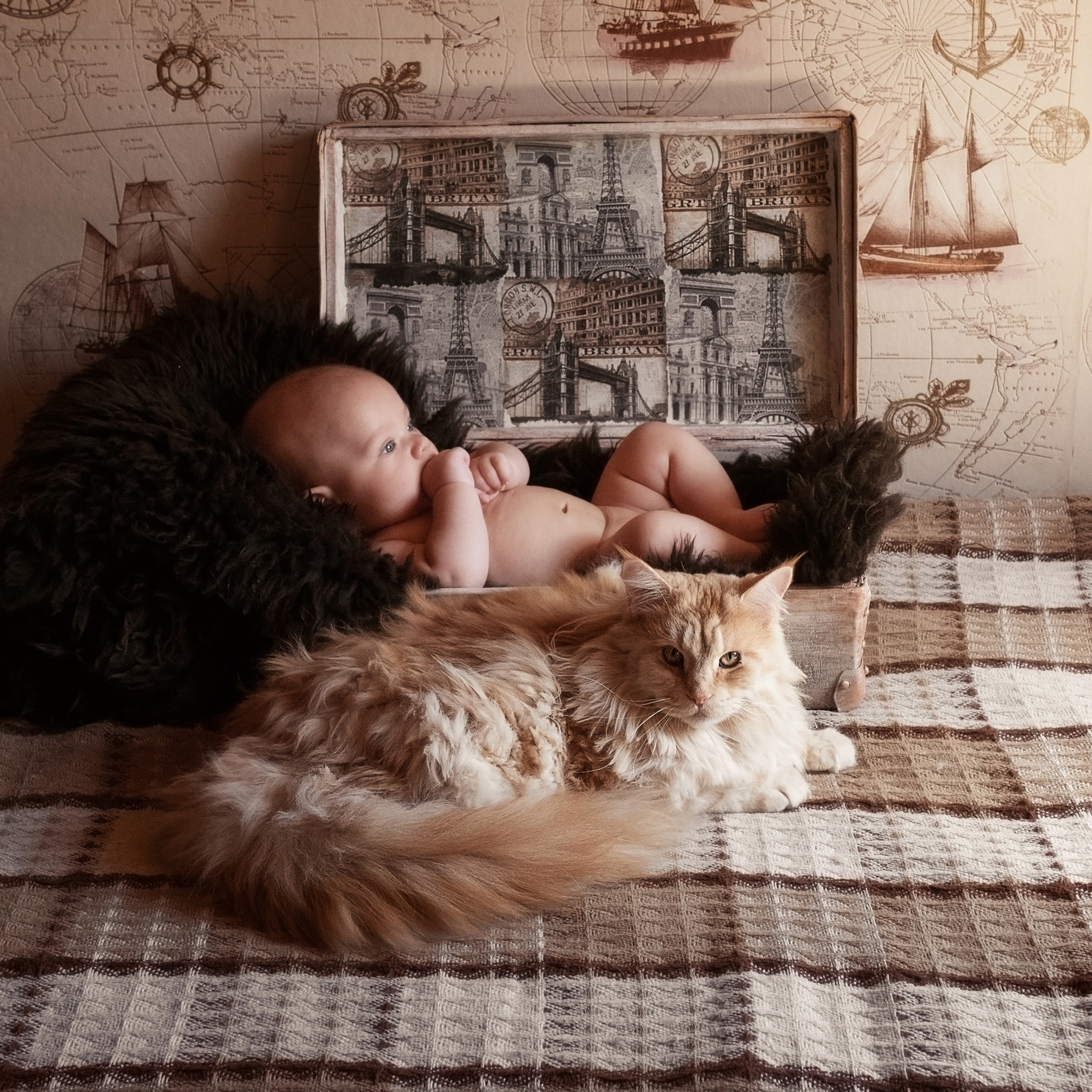 Николай. Фотографы в Орле Шестопаловы Юлия и Юрий