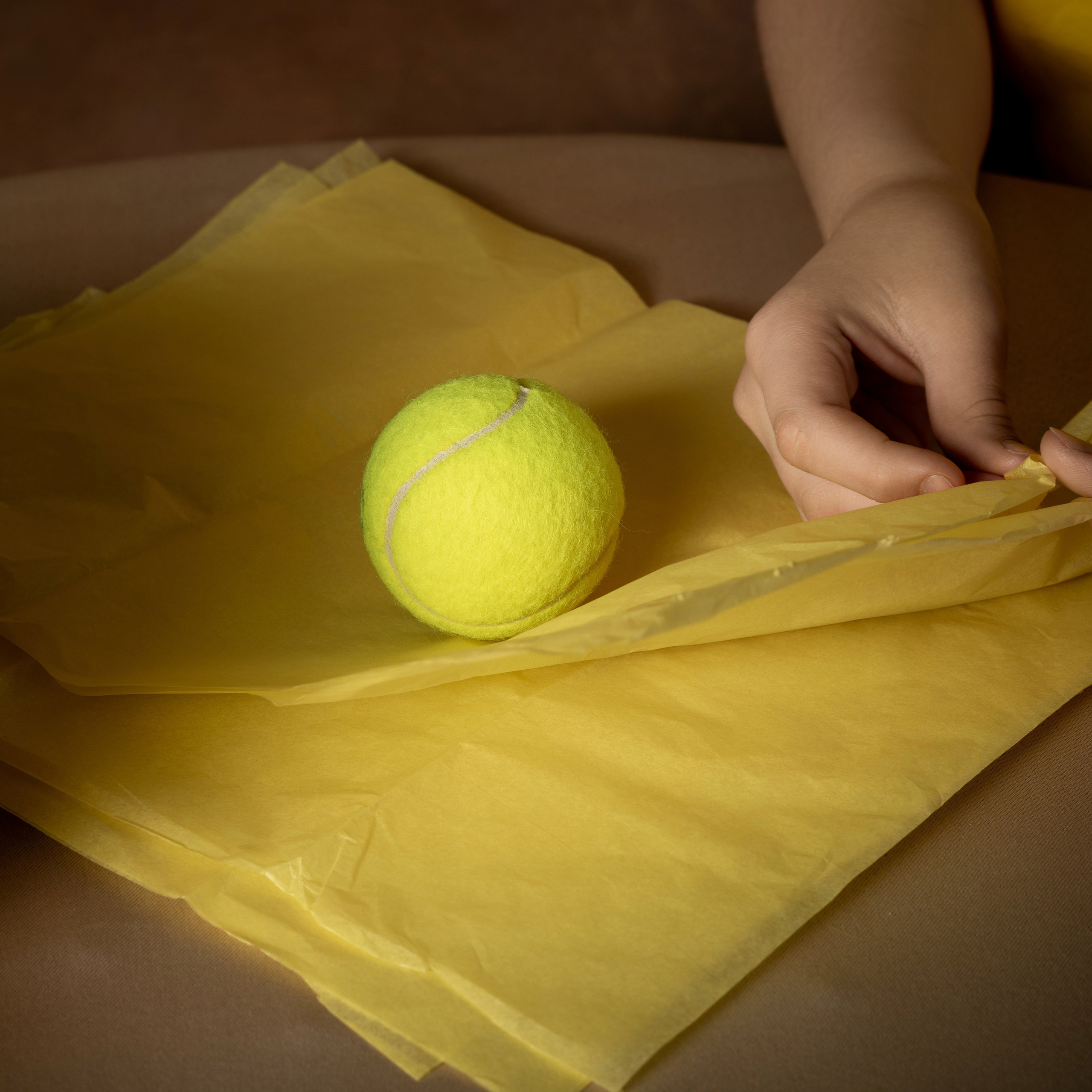 Владимир и тенис