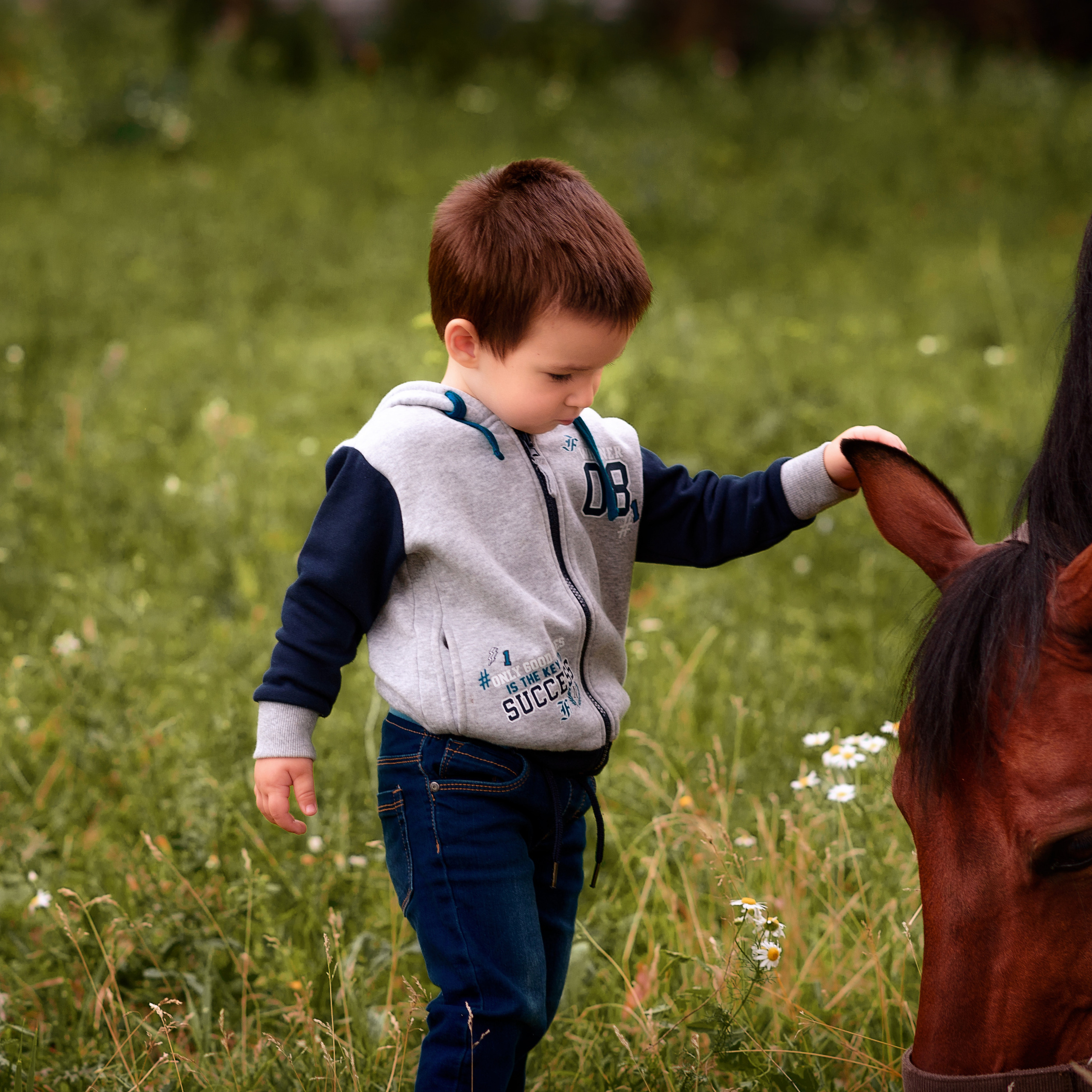 Катя — фотосессия с лошадью. Фотографы в Орле Шестопаловы Юлия и Юрий