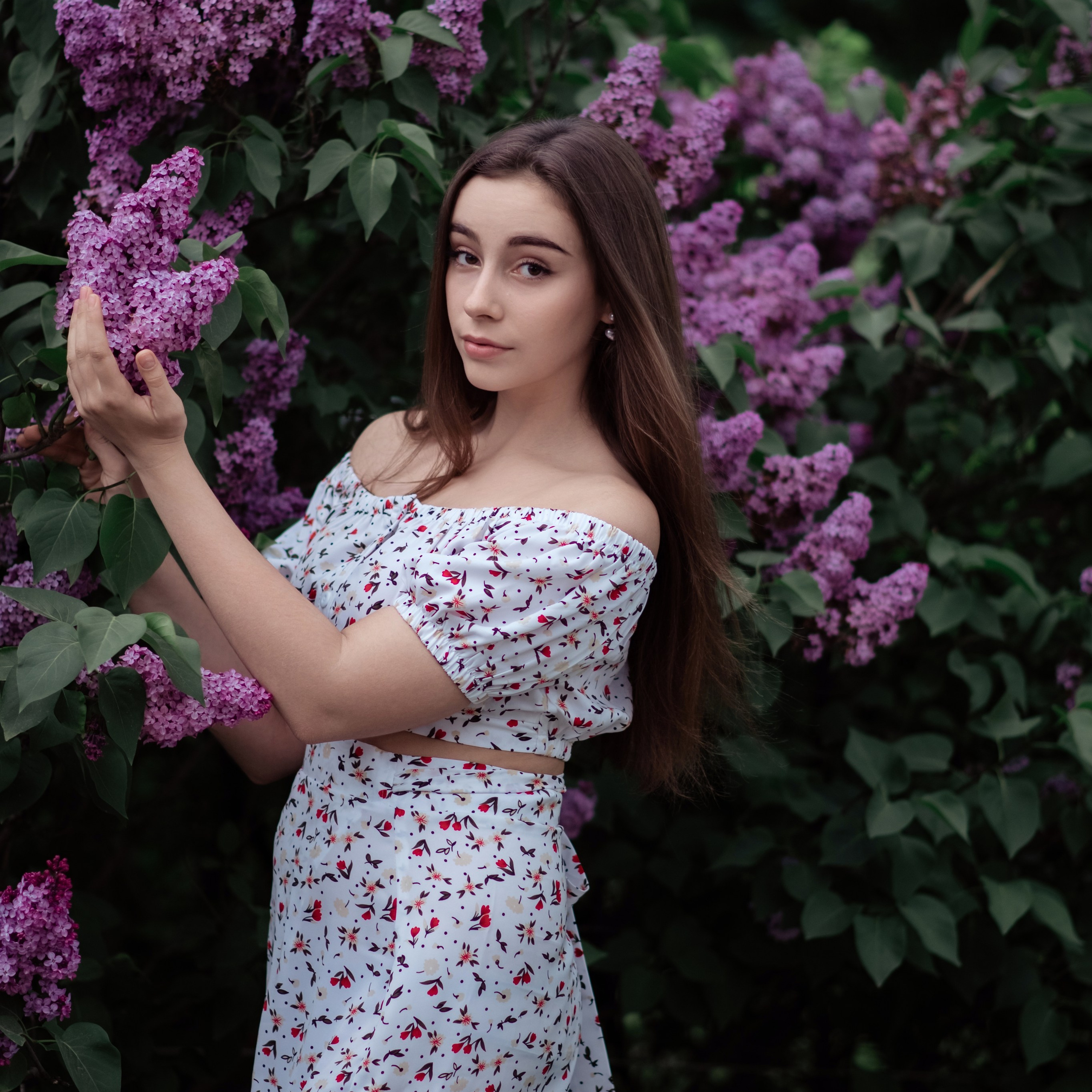 София, сирень. Фотографы в Орле Шестопаловы Юлия и Юрий