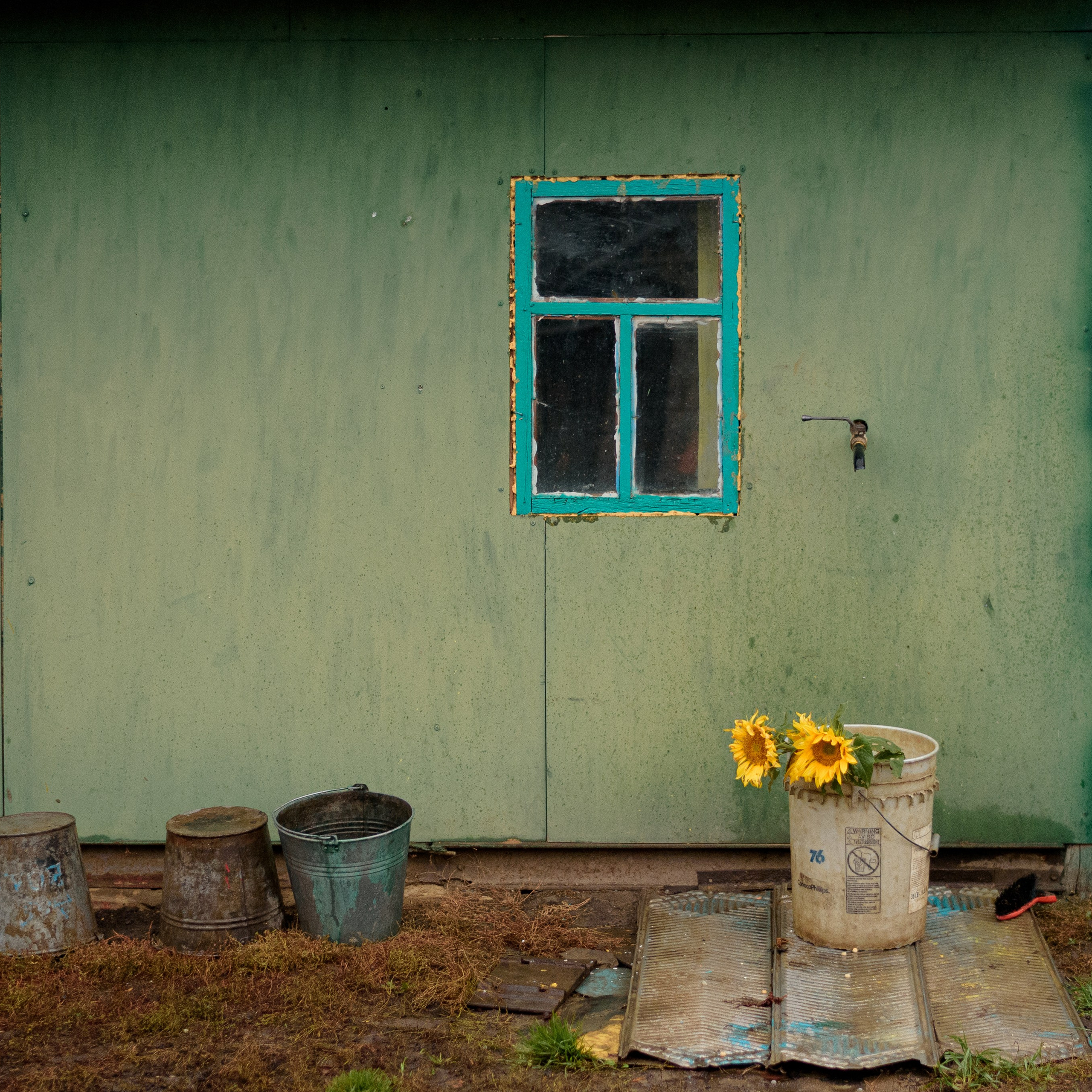 Натюрморт / Still Life. Профессиональный портретный фотограф в Орле Шестопалова Юлия