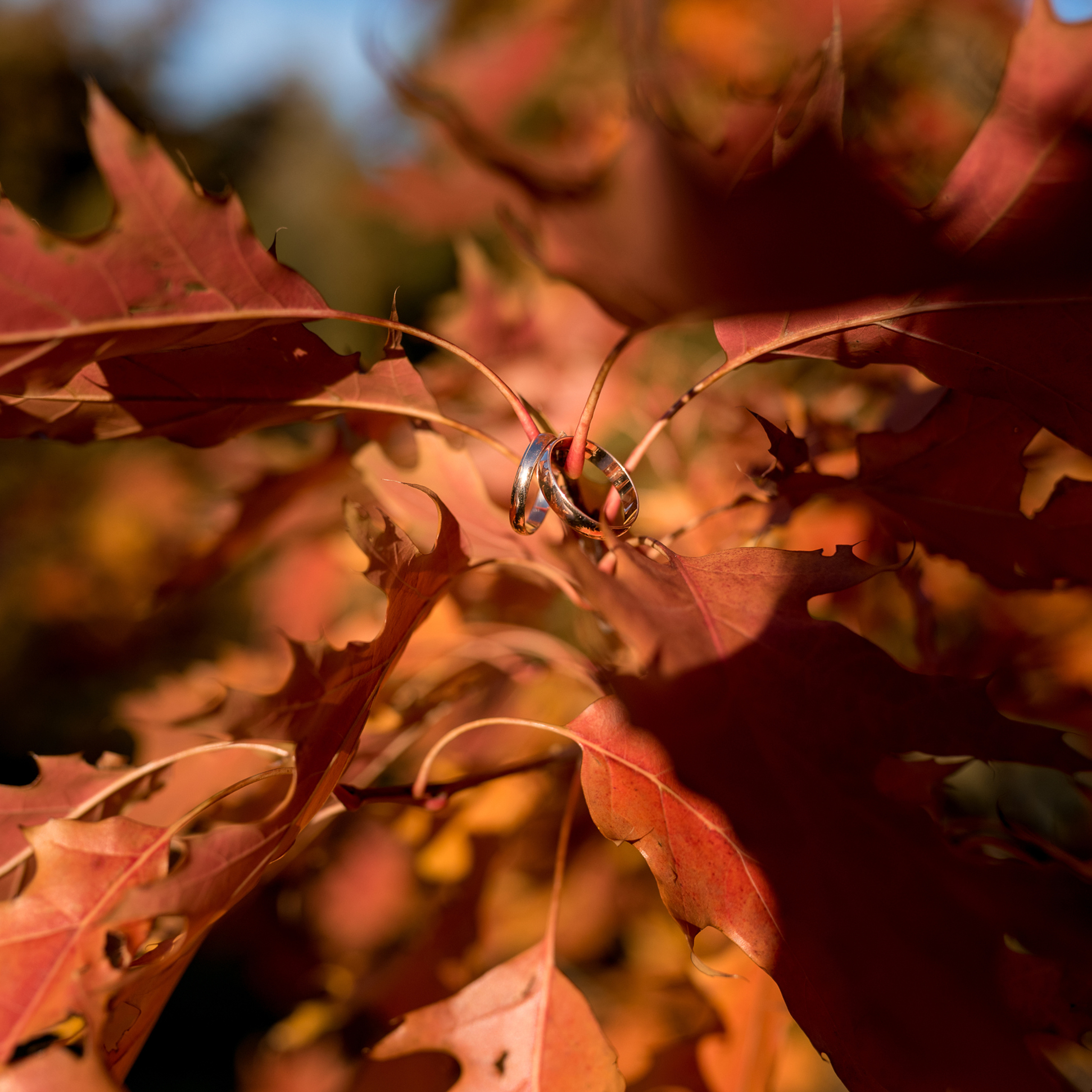 Фотограф на свадьбу. Фотографы в Орле Шестопаловы Юлия и Юрий