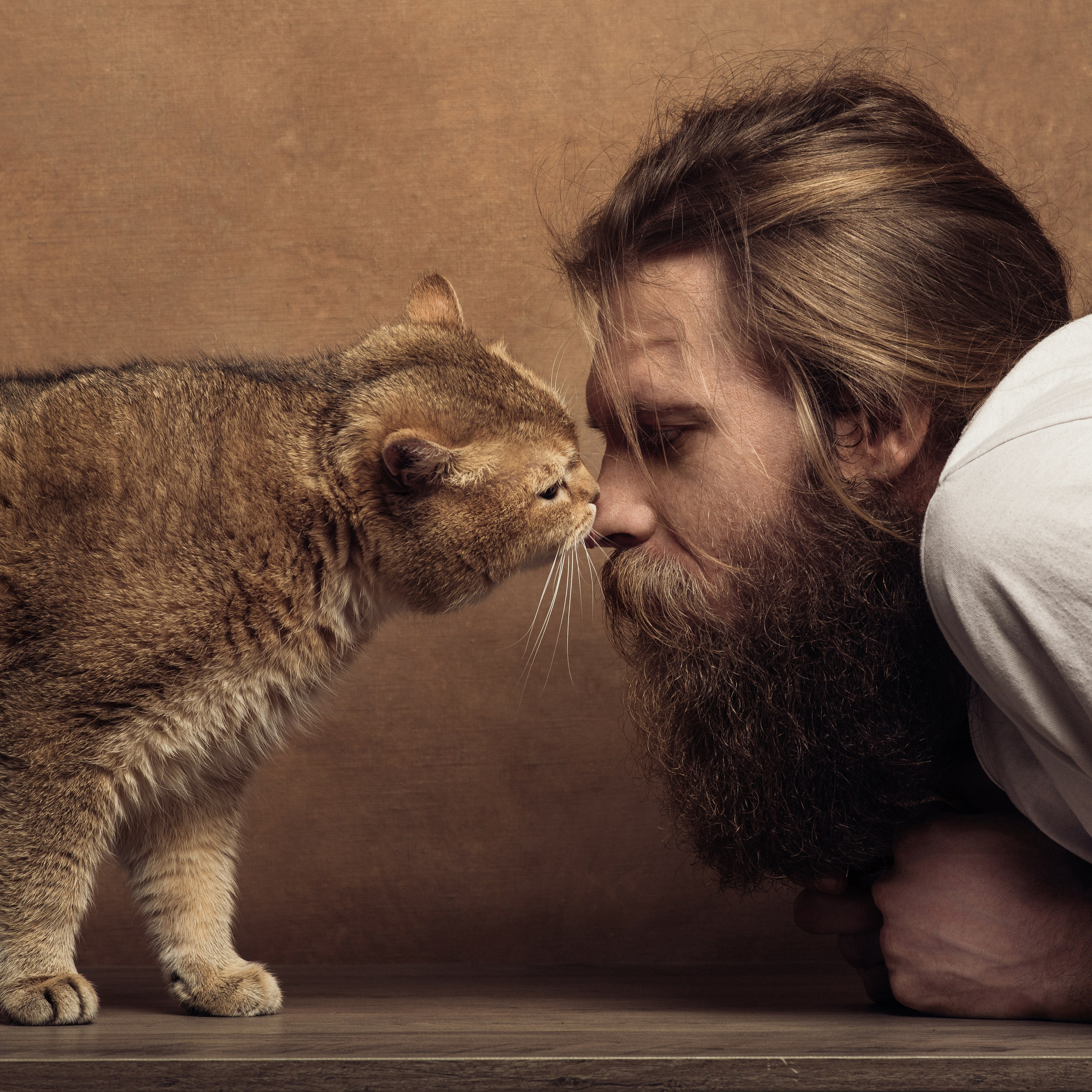 Фотосессия с котом