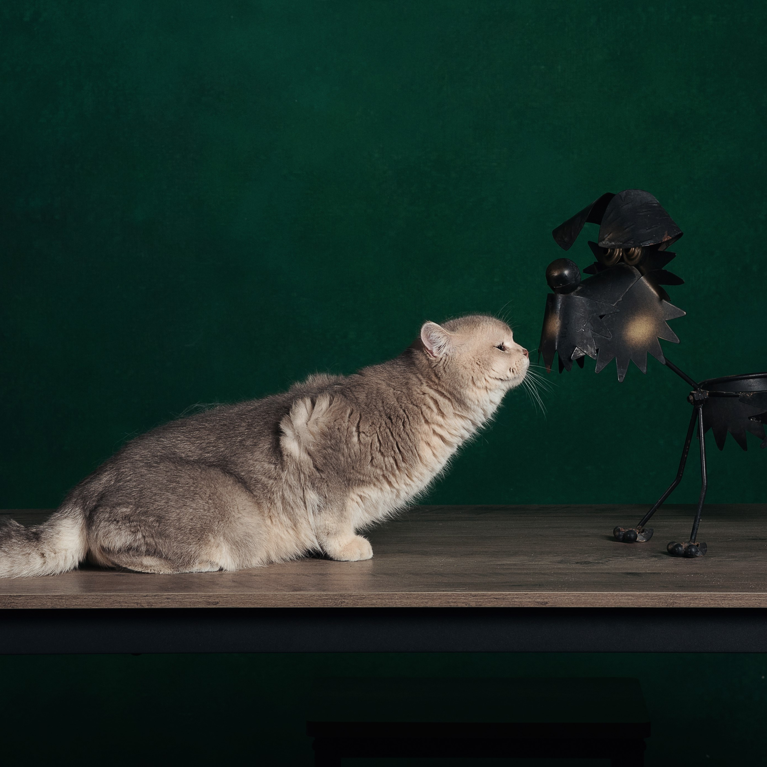 Натюрморт / Still Life. Профессиональный портретный фотограф в Орле Шестопалова Юлия