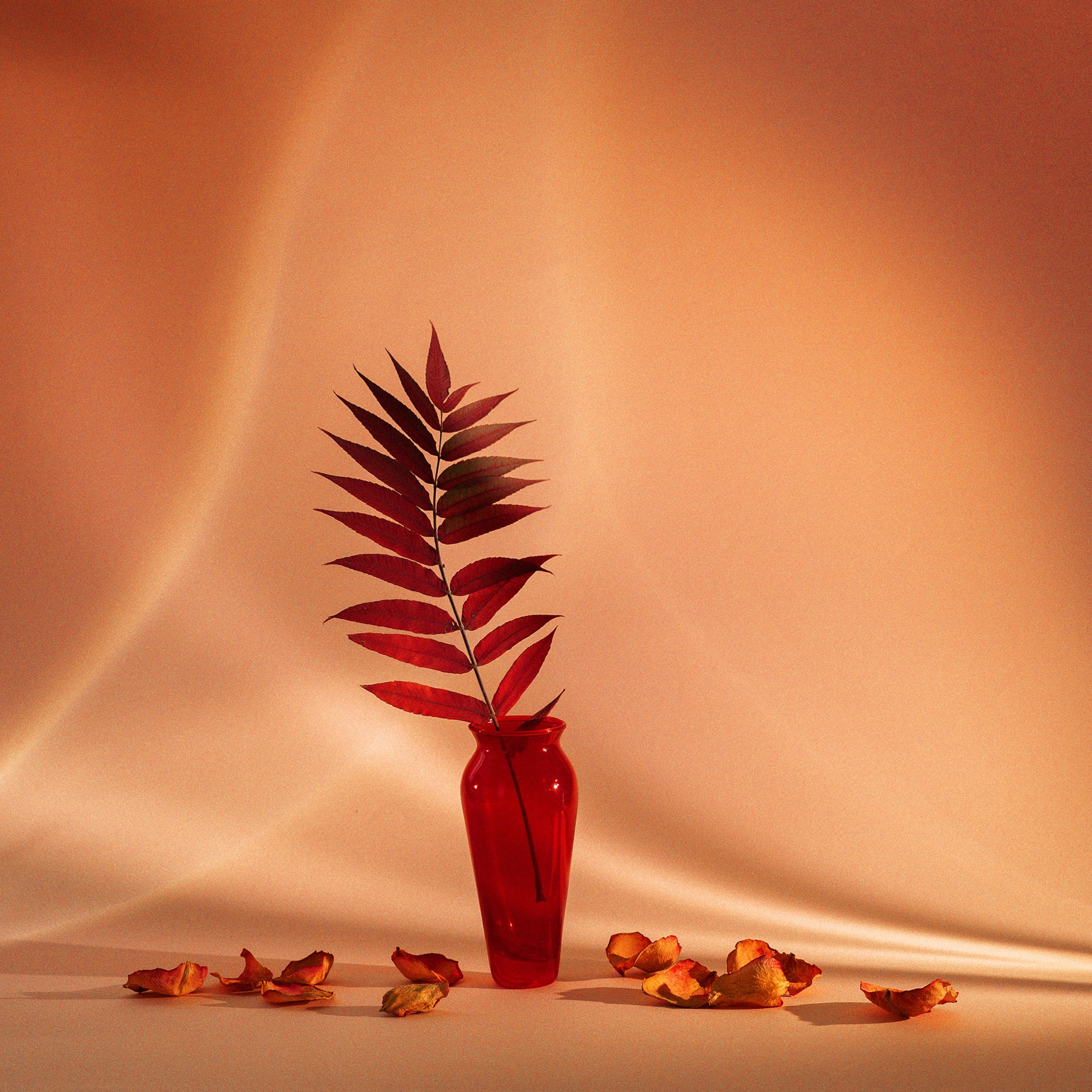 «Красная» коллекция «Фотострелки» в Москве 2025