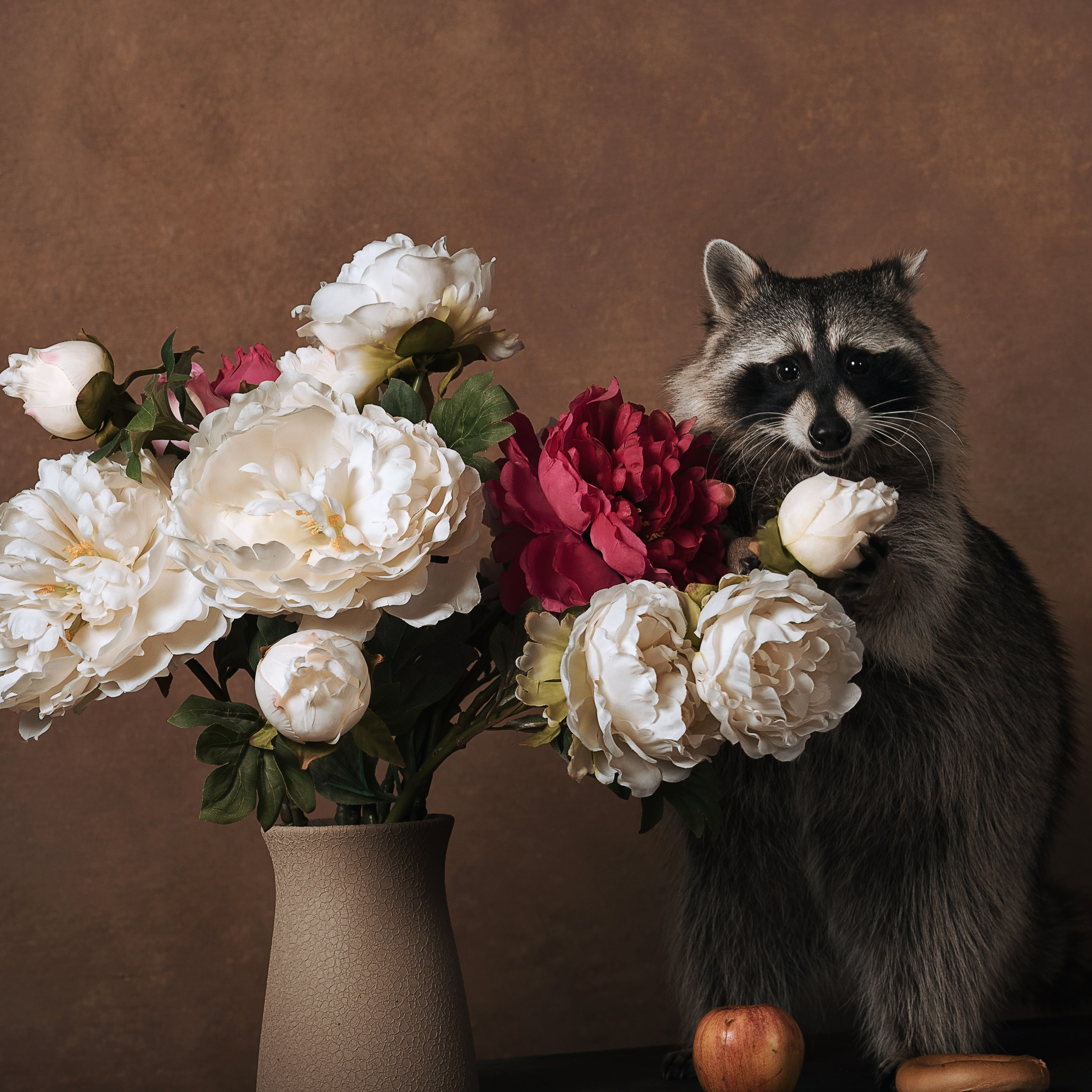 Енот. Фотографы в Орле Шестопаловы Юлия и Юрий