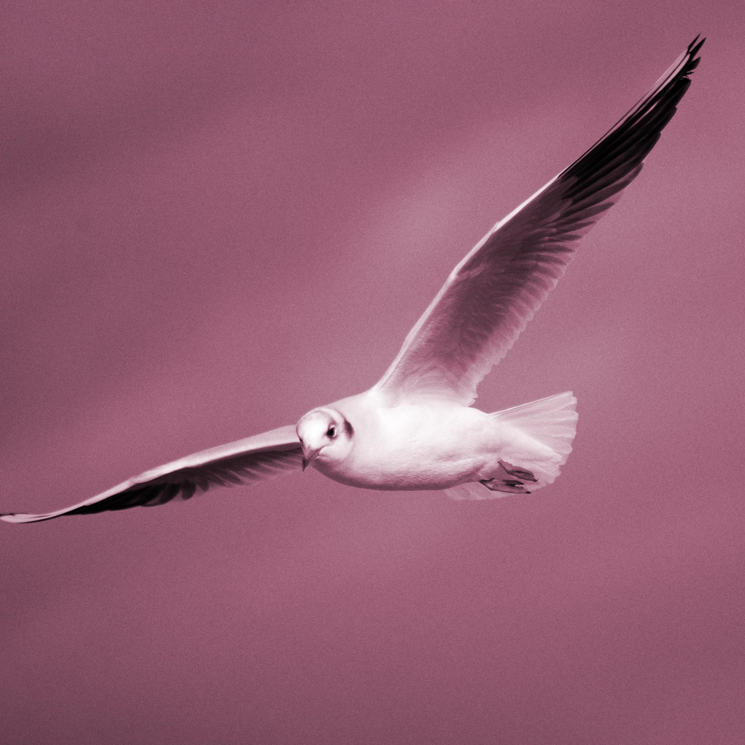 Путешествия. Фотографы в Орле Шестопаловы Юлия и Юрий