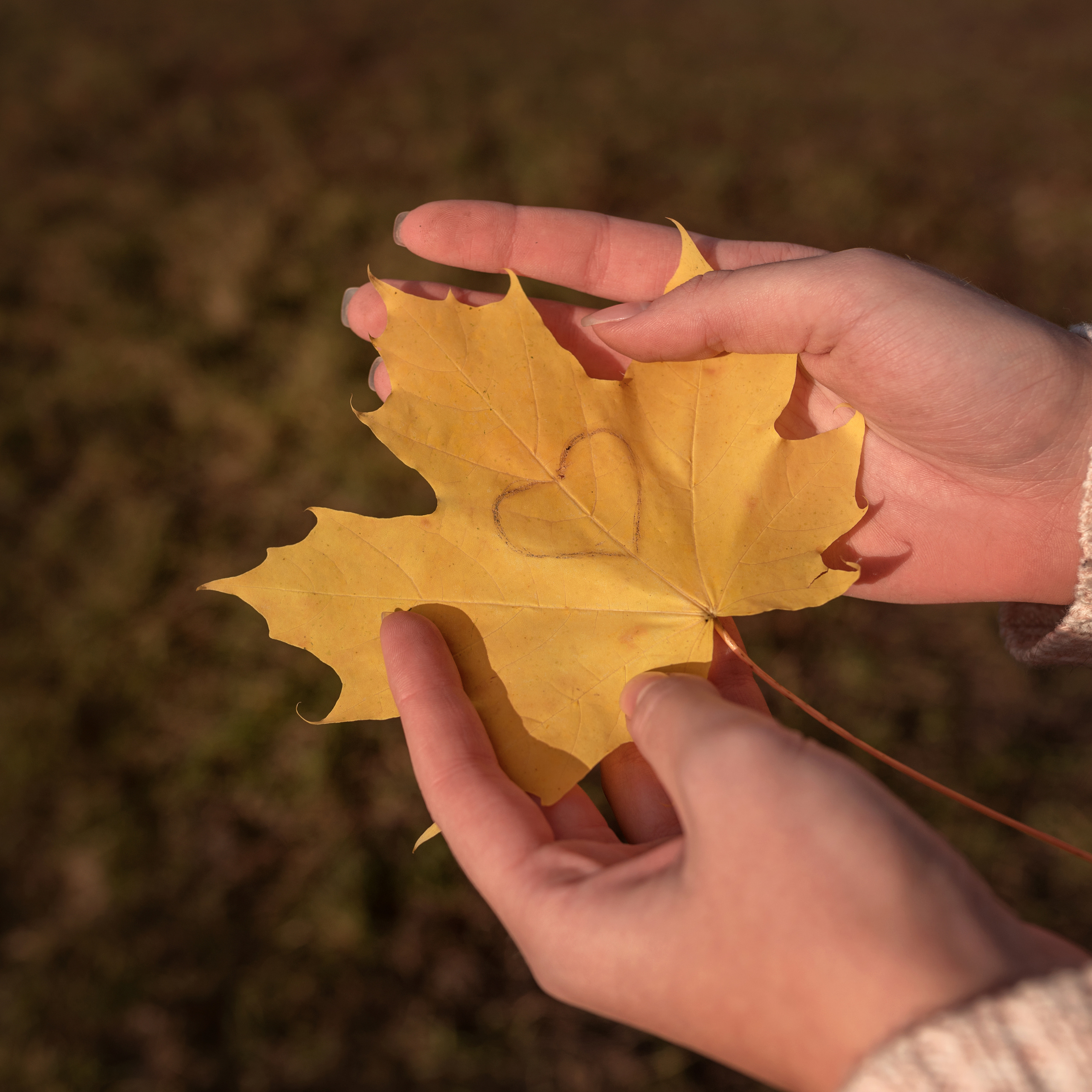 Ангел. Фотографы в Орле Шестопаловы Юлия и Юрий