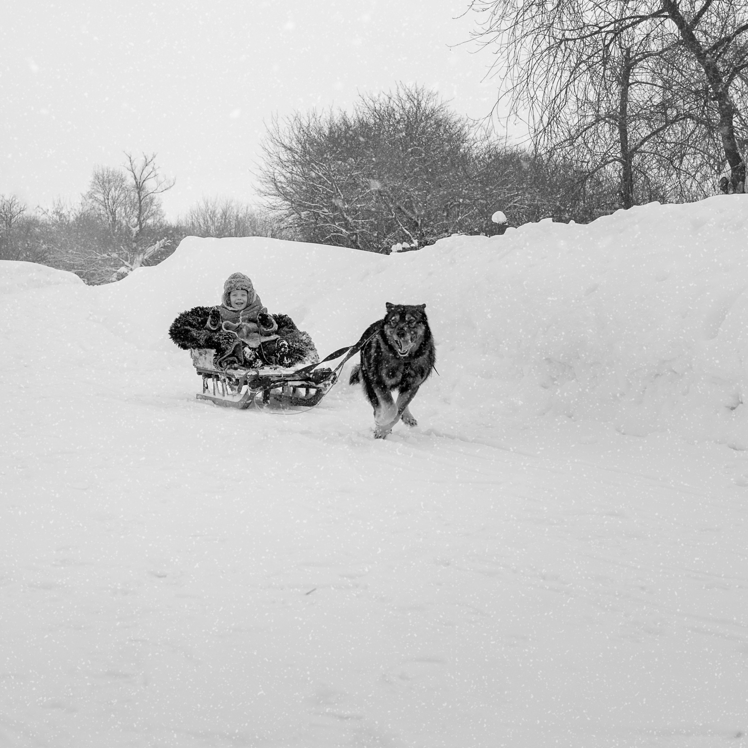 Деревня / Village. Профессиональный портретный фотограф в Орле Шестопалова Юлия