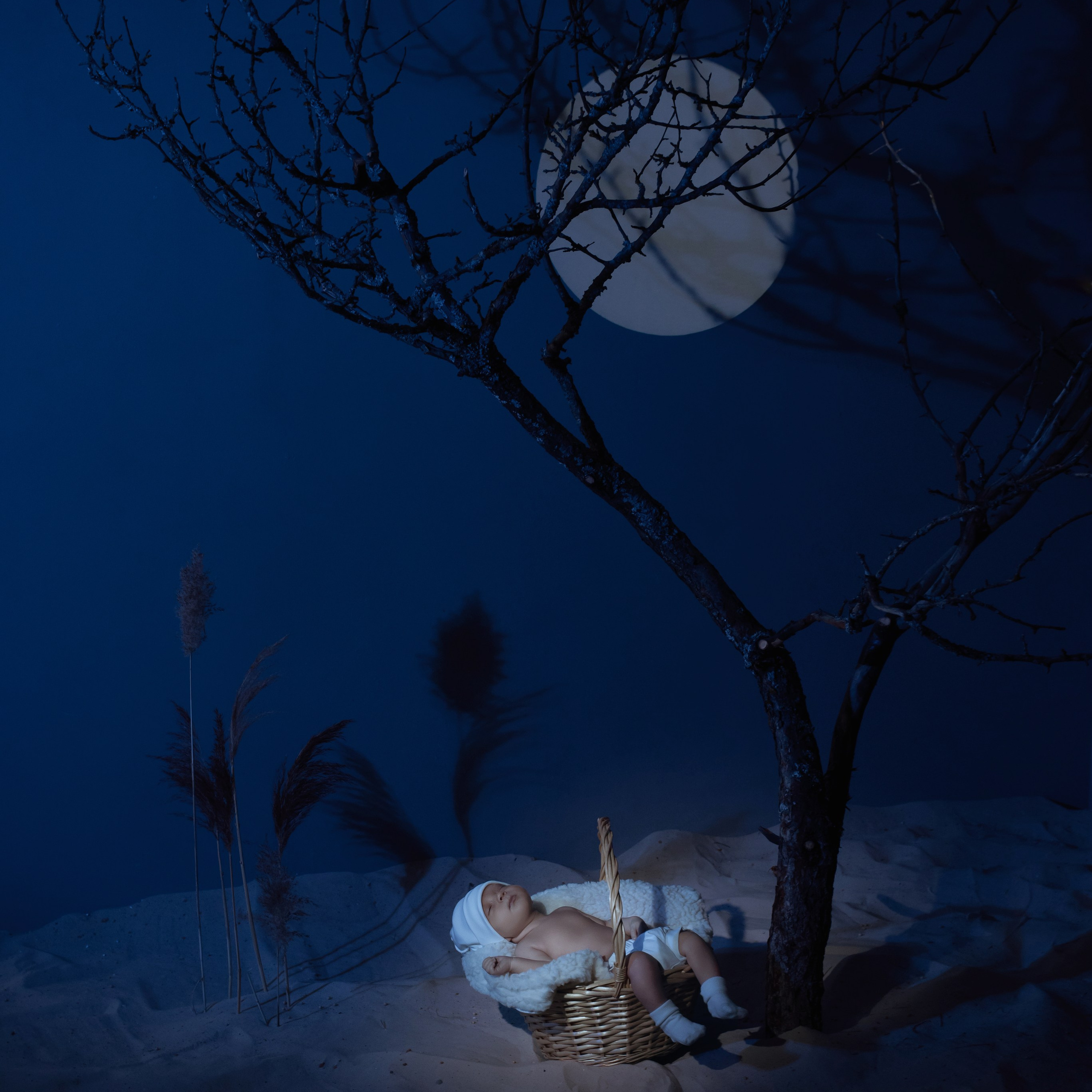 Владимир. Фотографы в Орле Шестопаловы Юлия и Юрий