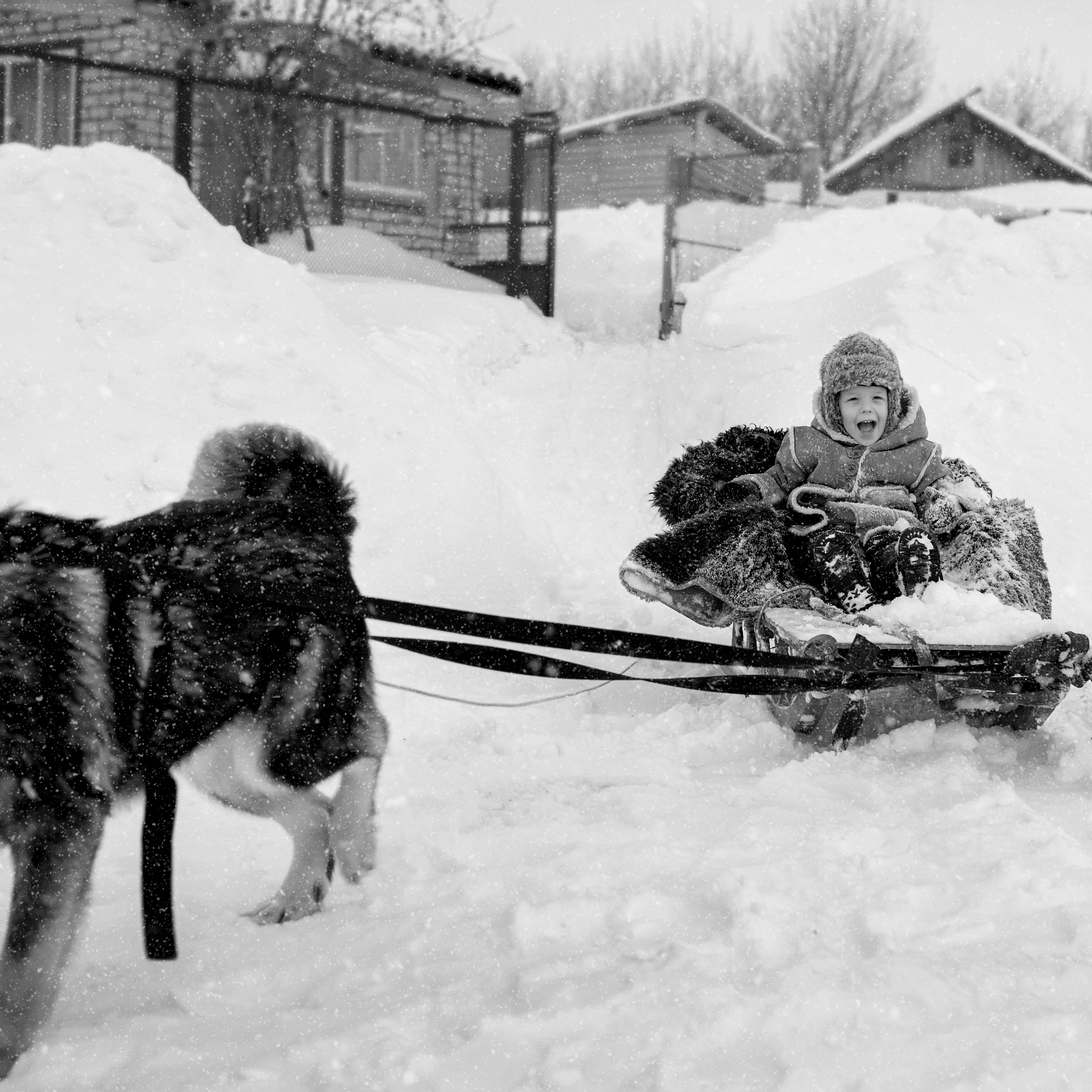 Деревня / Village. Профессиональный портретный фотограф в Орле Шестопалова Юлия
