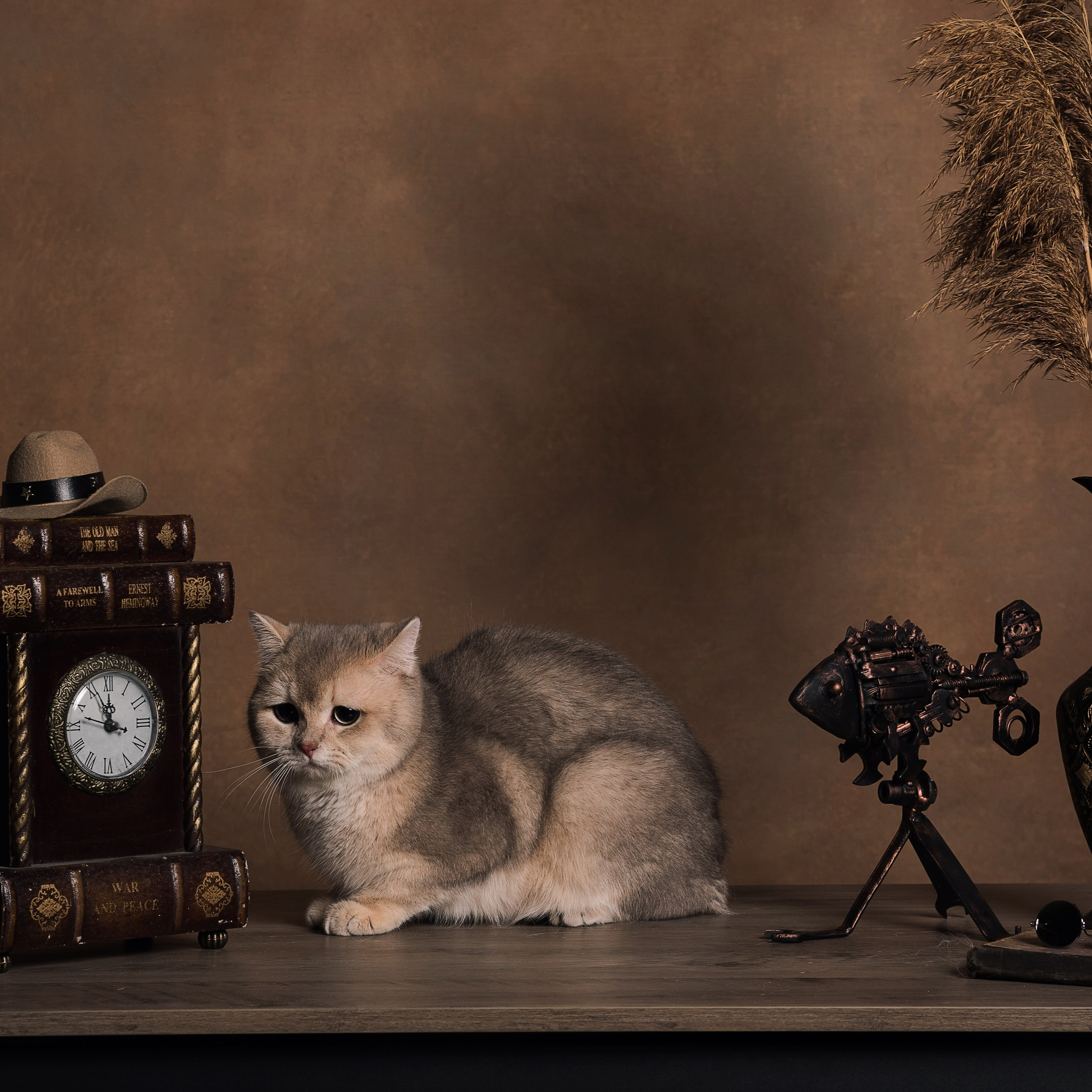 Алексей и коты. Фотографы в Орле Шестопаловы Юлия и Юрий