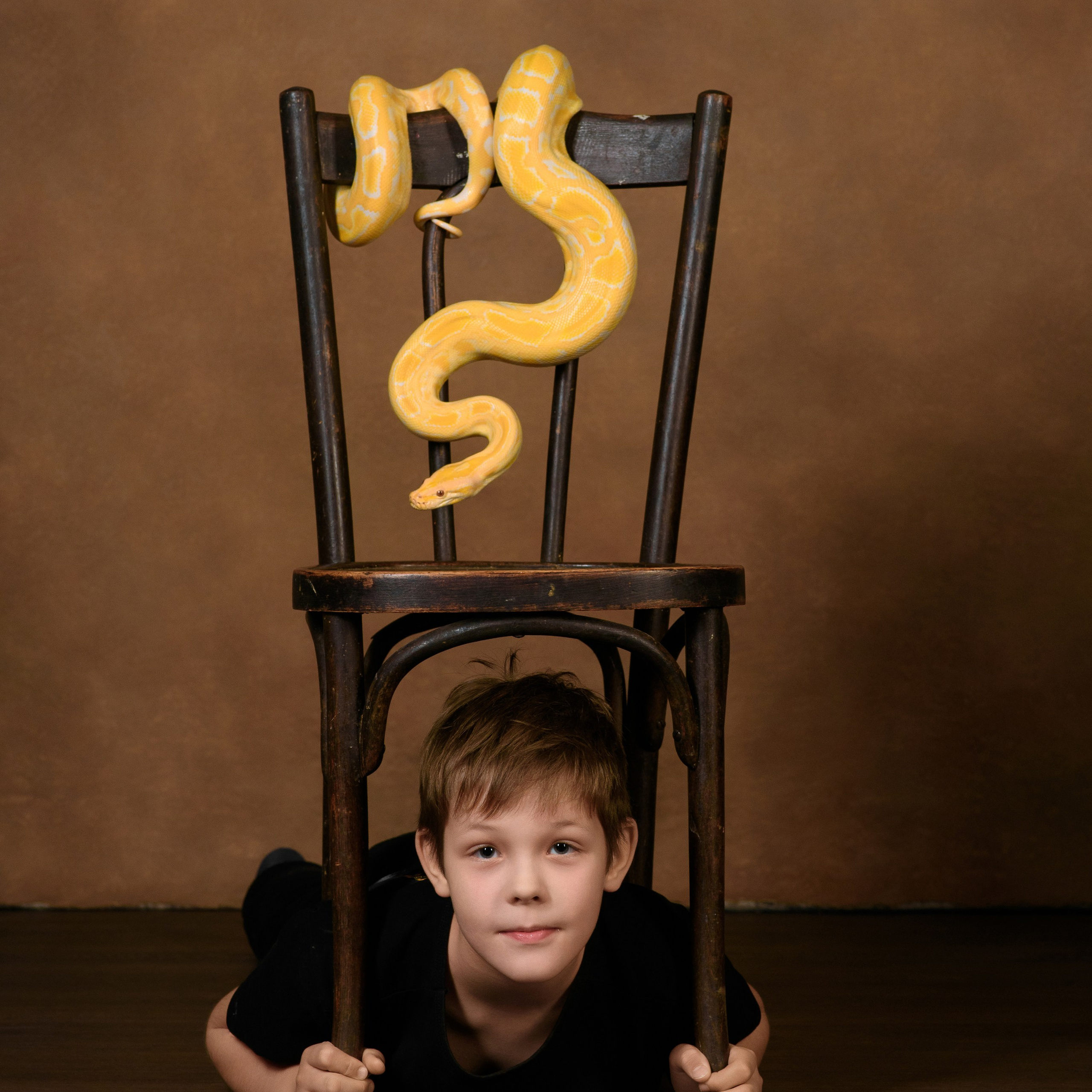 Змеи/питон/удав