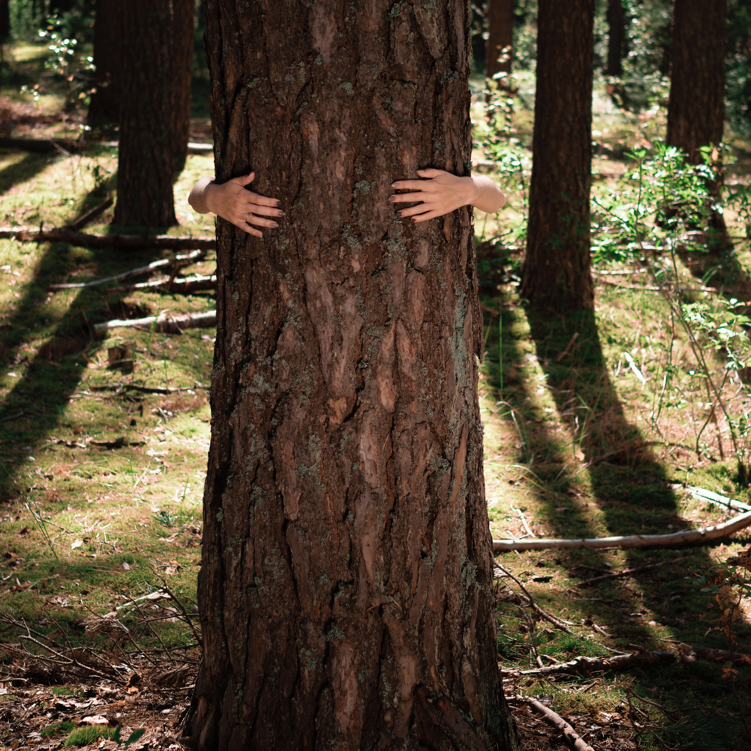 Мария — лесная фея. Фотографы в Орле Шестопаловы Юлия и Юрий