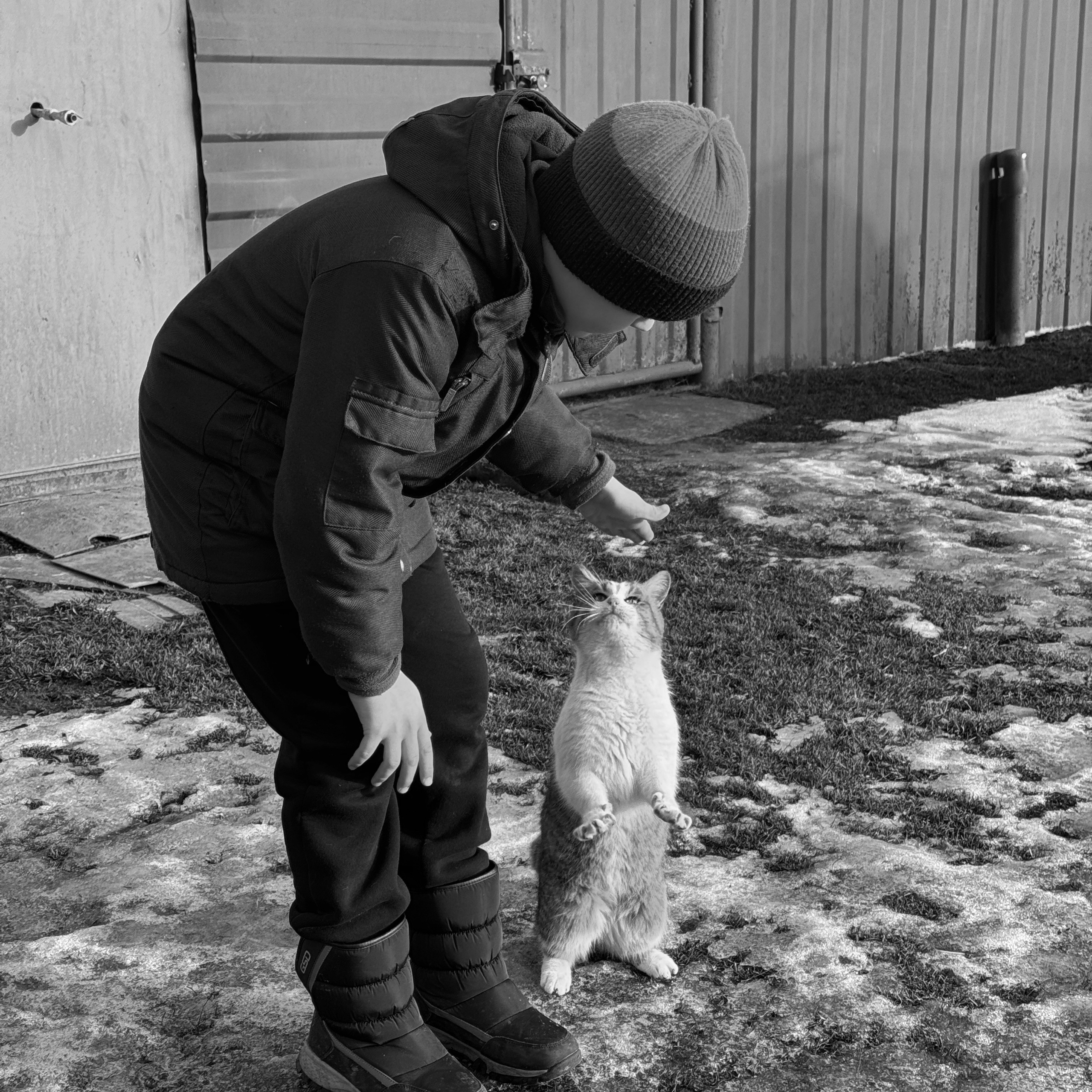 Деревня / Village. Профессиональный портретный фотограф в Орле Шестопалова Юлия