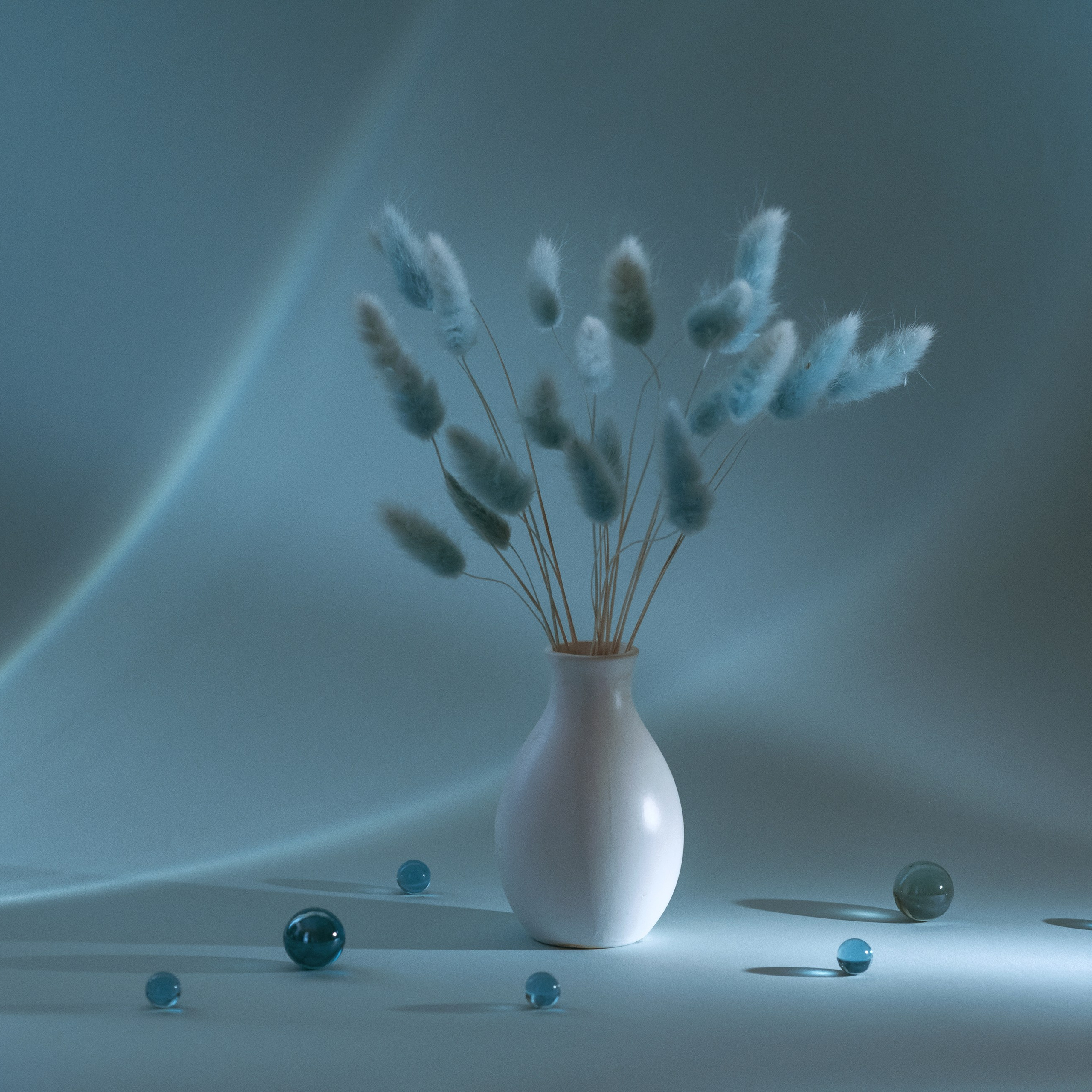 Натюрморт / Still Life. Профессиональный портретный фотограф в Орле Шестопалова Юлия