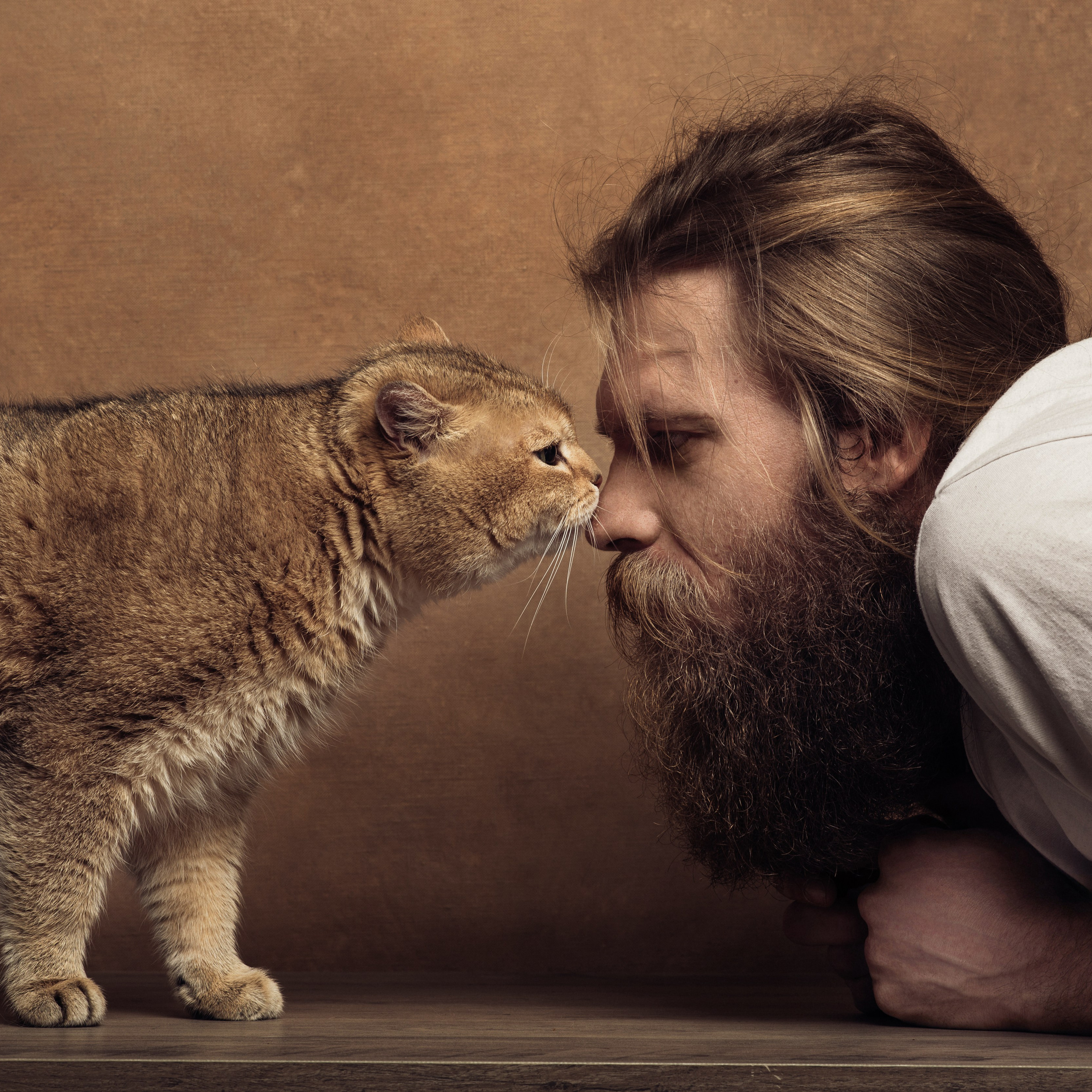 Фотосессия с котом