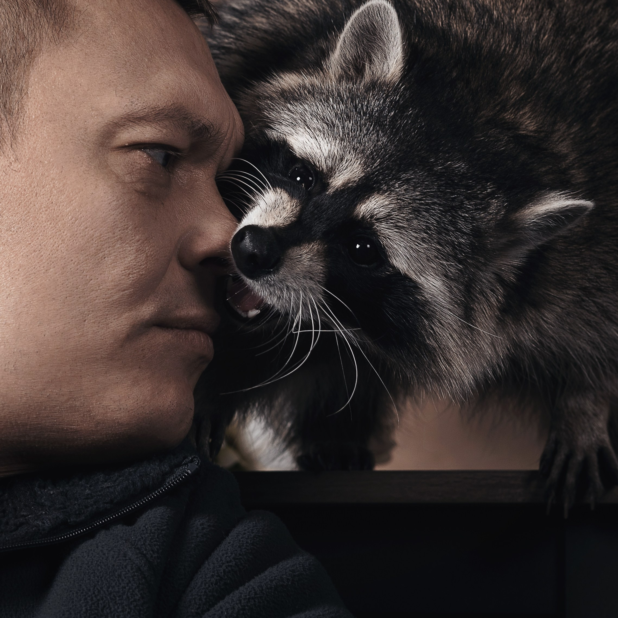 Енот. Фотографы в Орле Шестопаловы Юлия и Юрий