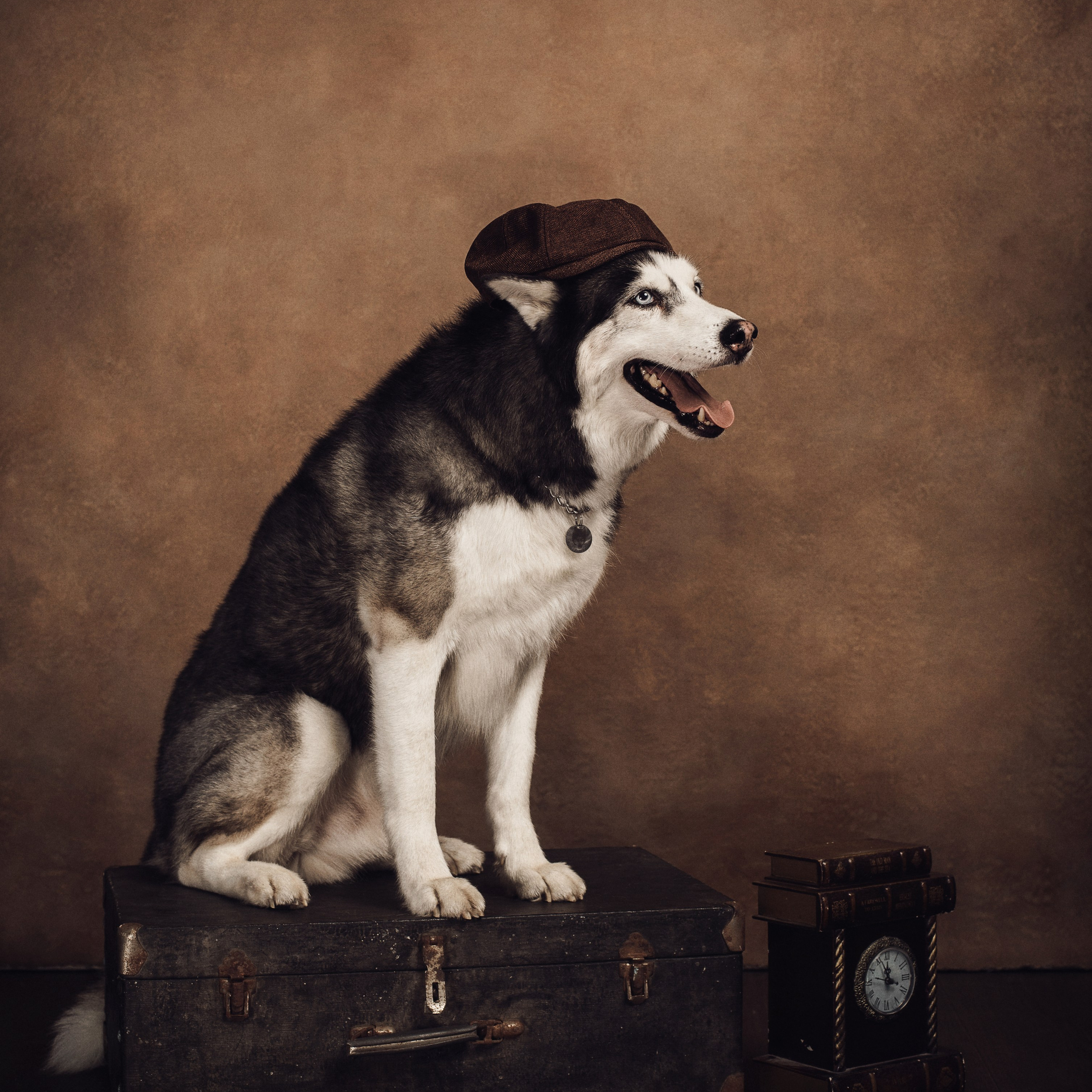 Владимир и хаски Лорд. Фотографы в Орле Шестопаловы Юлия и Юрий