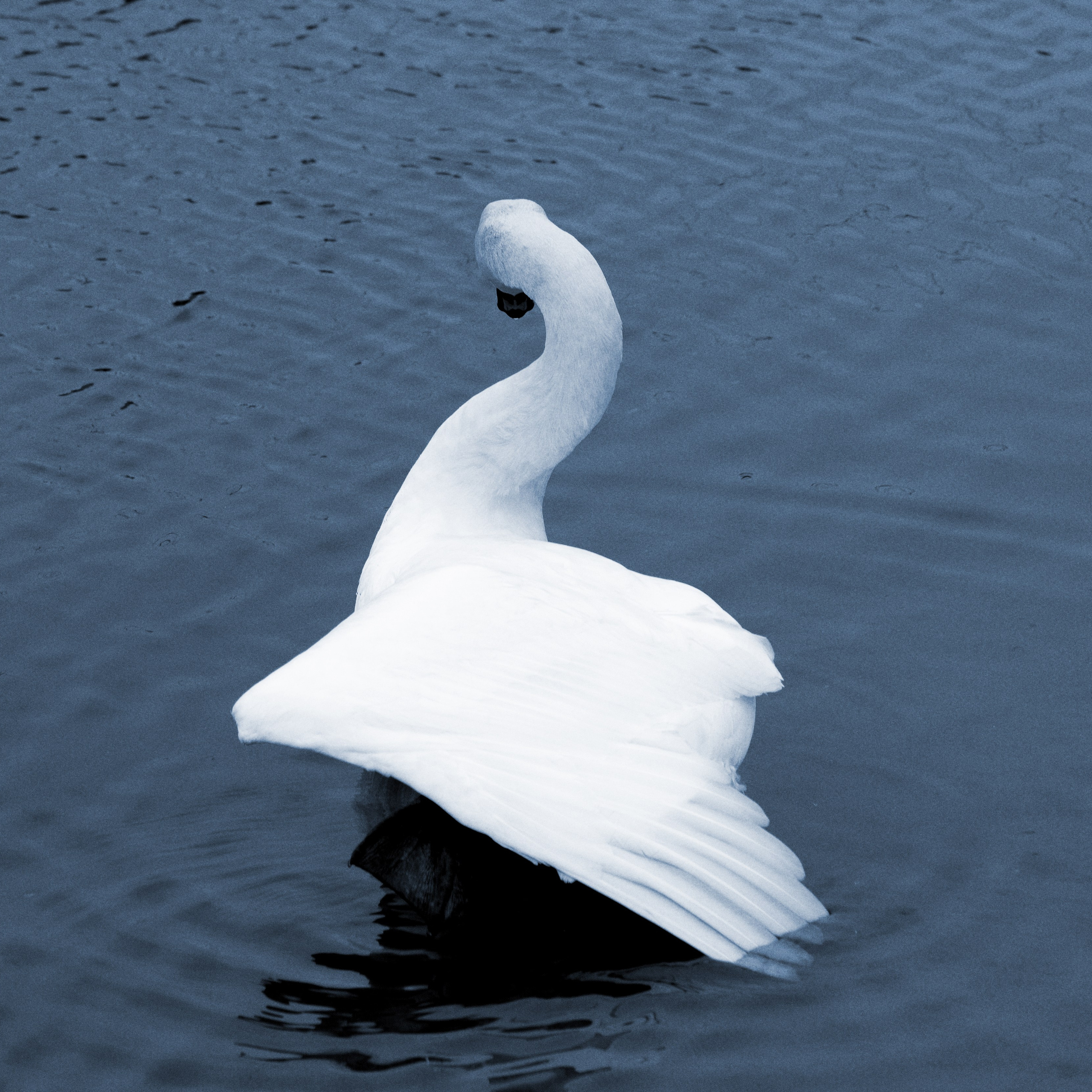 Путешествия. Фотографы в Орле Шестопаловы Юлия и Юрий