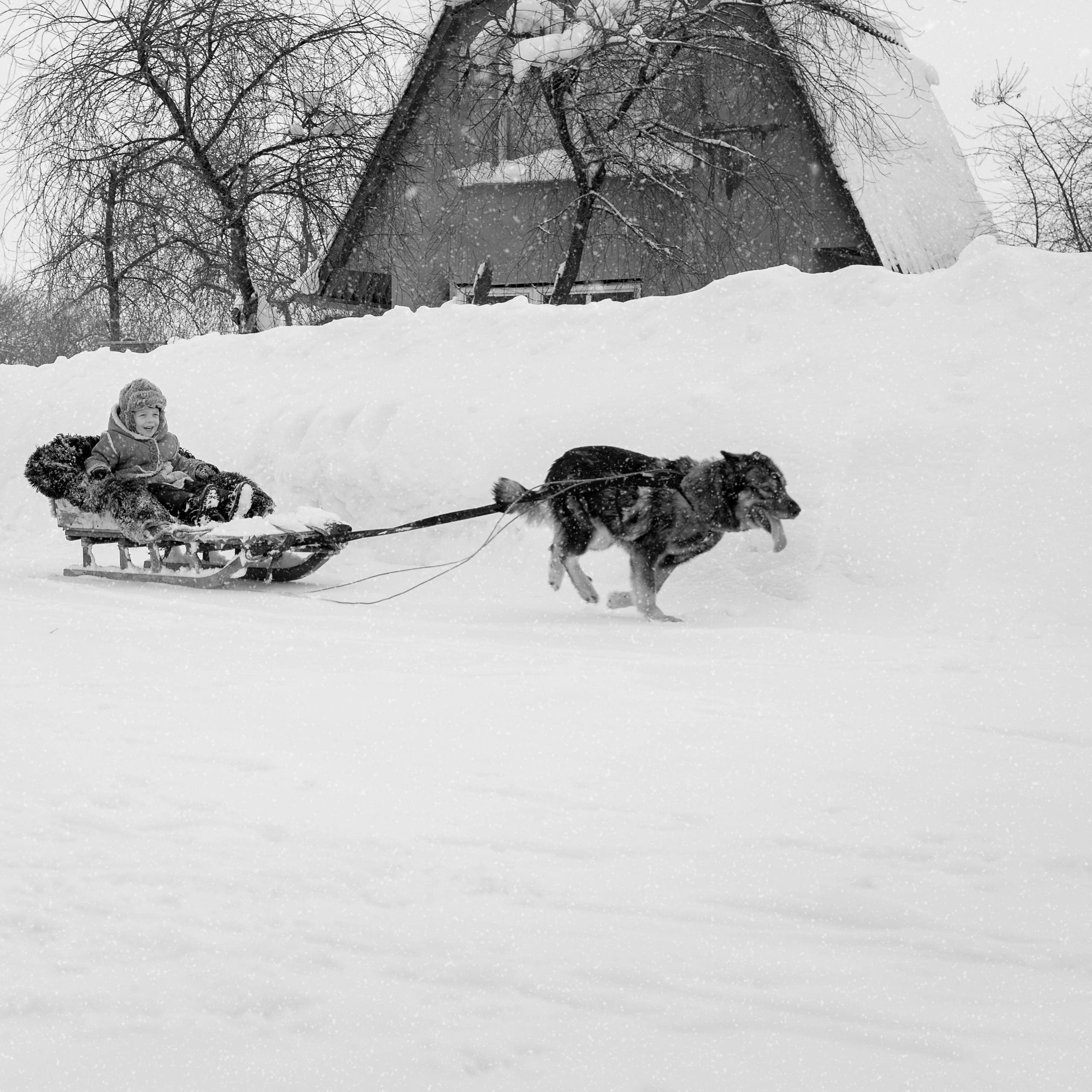 Деревня / Village. Профессиональный портретный фотограф в Орле Шестопалова Юлия